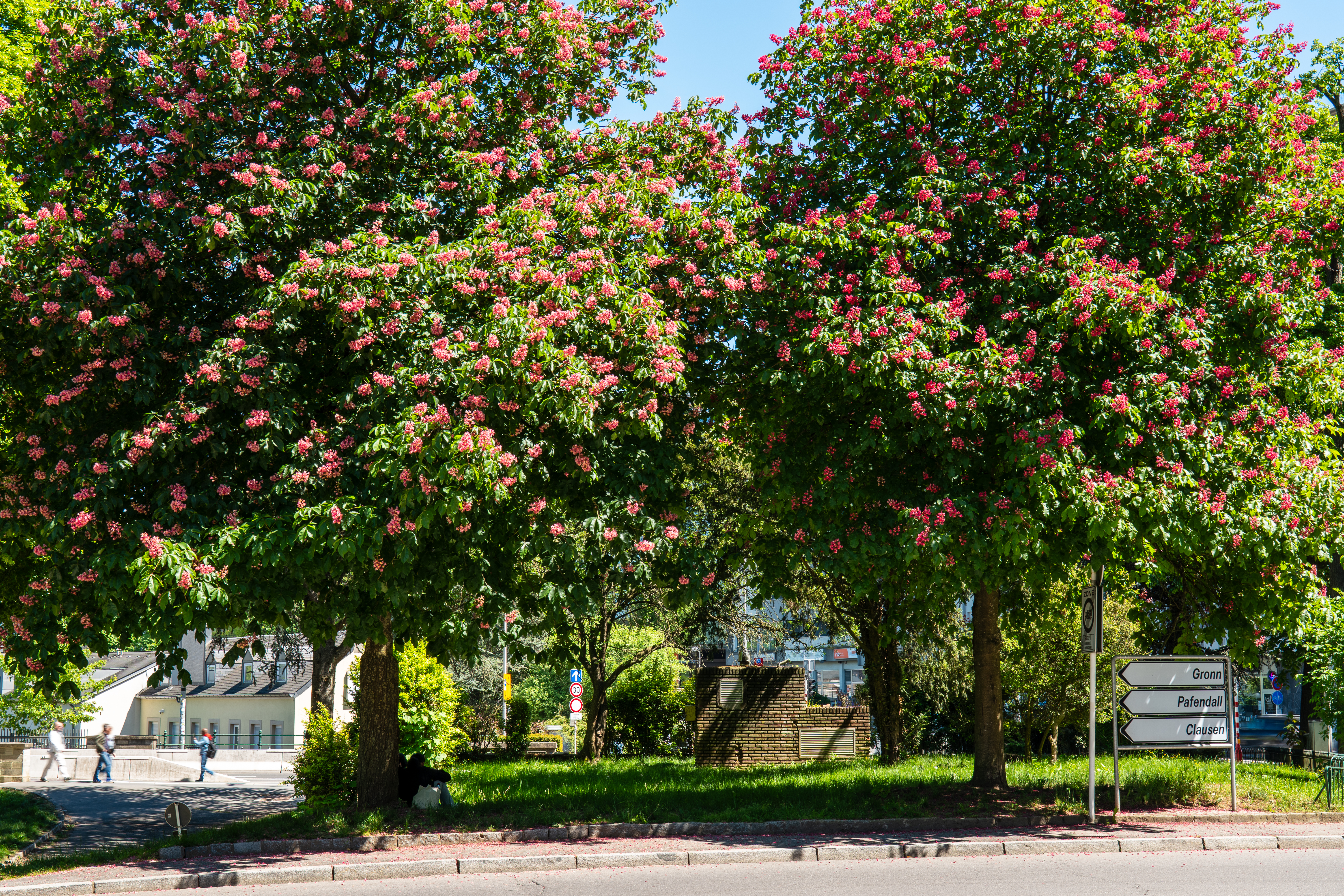 20250510 - Light Leaks Luxembourg - P1044254.jpg