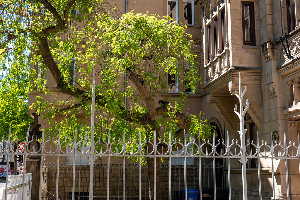 20250510 - Light Leaks Luxembourg - P1044241.jpg