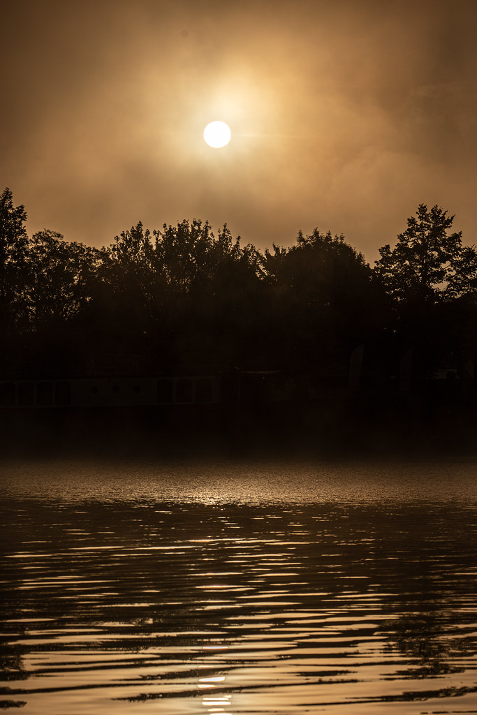 Morning Moselle Birds