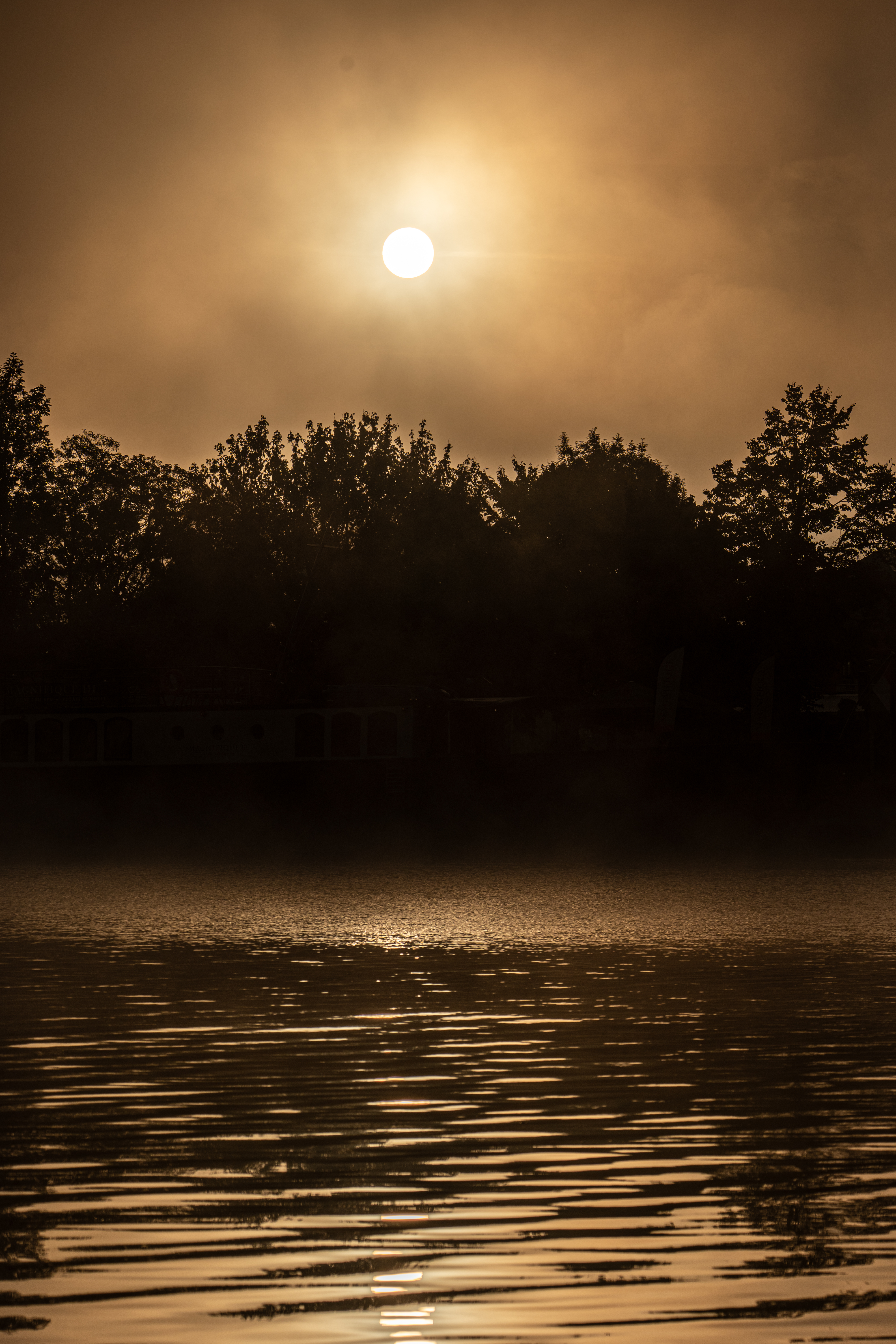 Morning Moselle Birds