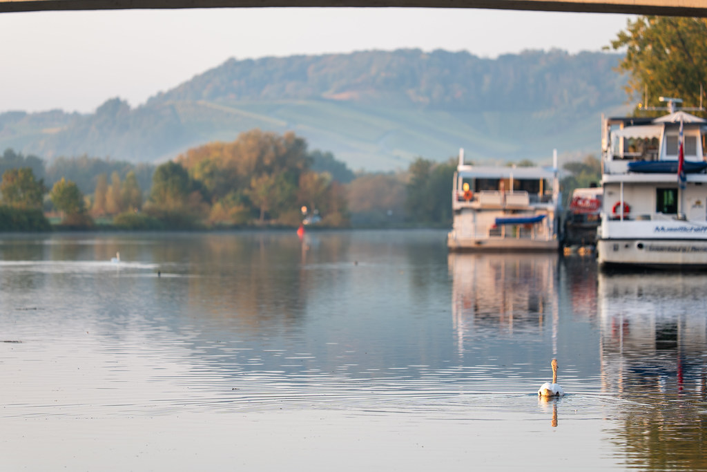 20251012 - Remich Morning Sun 2 - P1055819