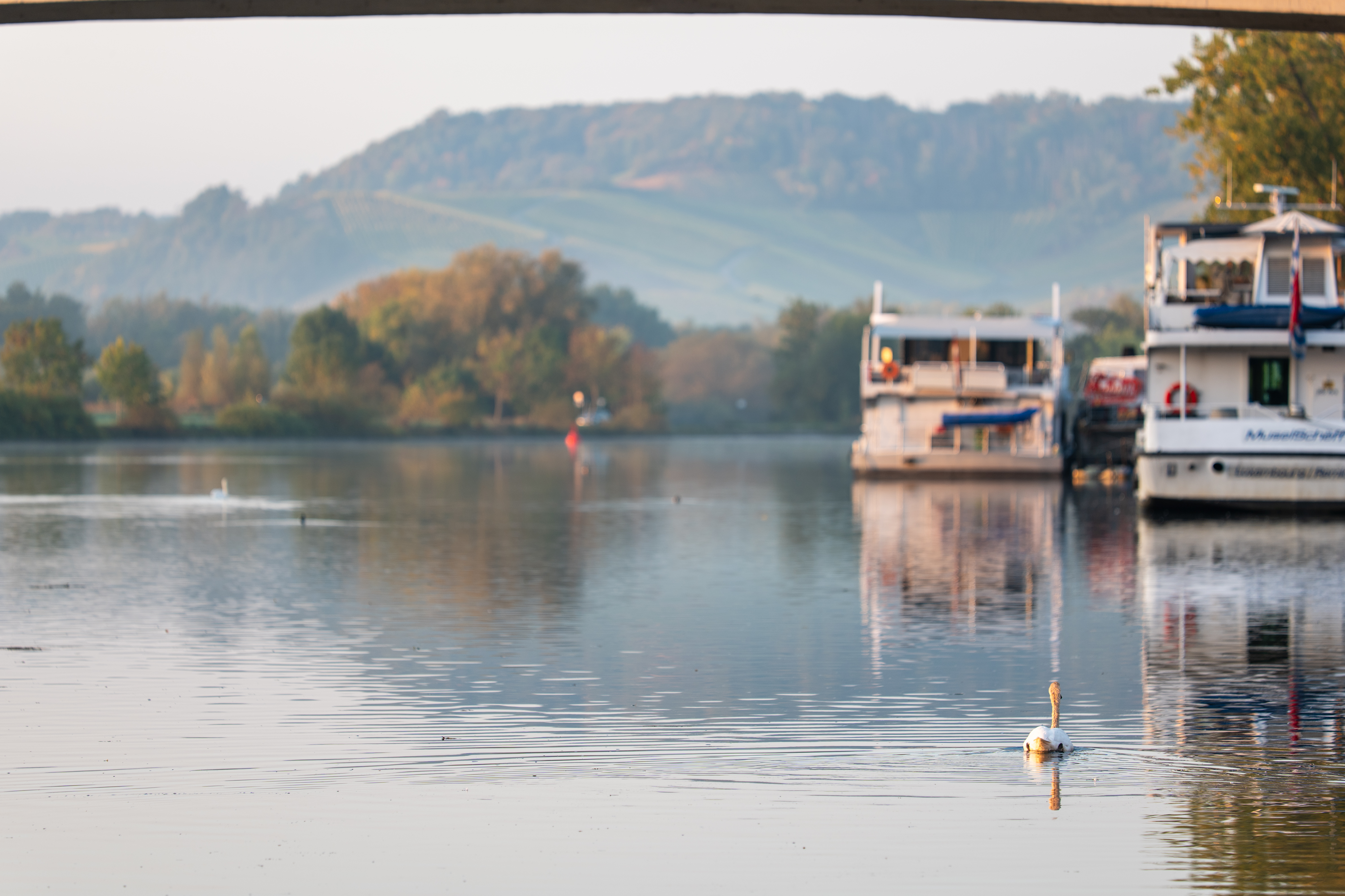 20251012 - Remich Morning Sun 2 - P1055819