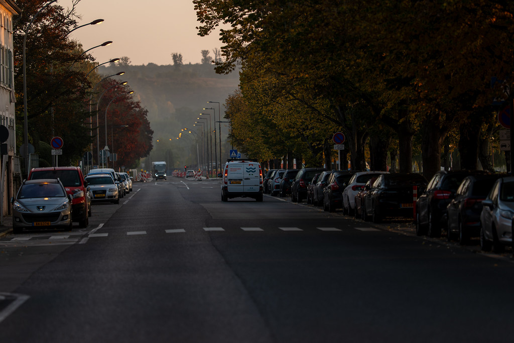 20251012 - Remich Morning Sun 2 - P1055804