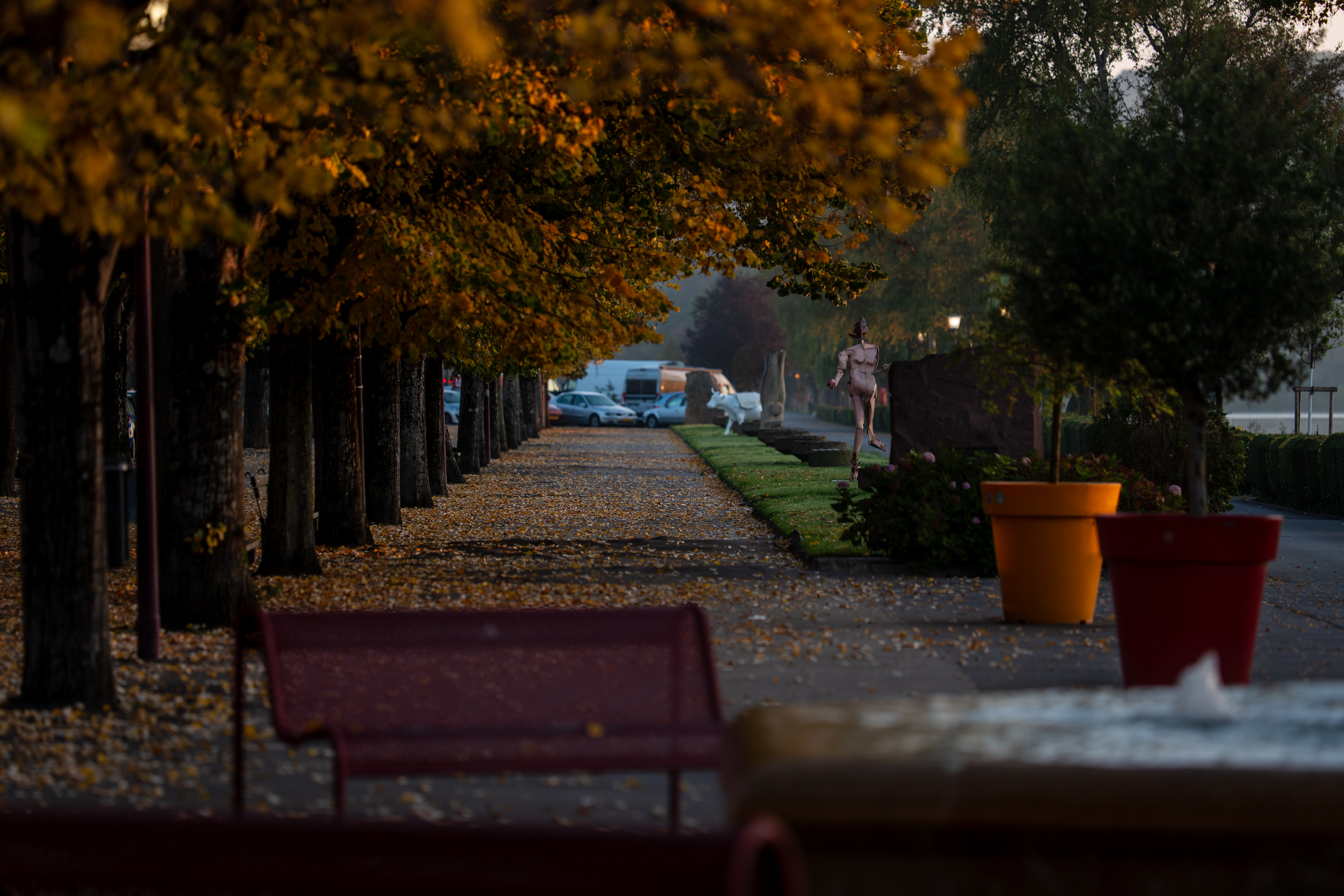 20251012 - Remich Morning Sun 2 - P1055806