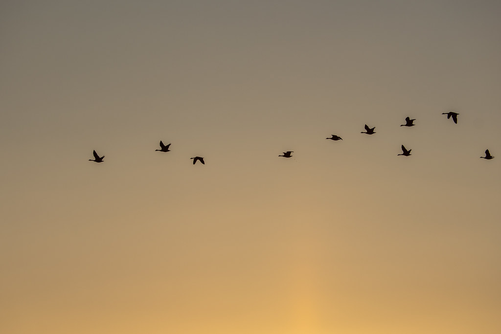 20251012 - Remich Morning Sun 2 - P1055834