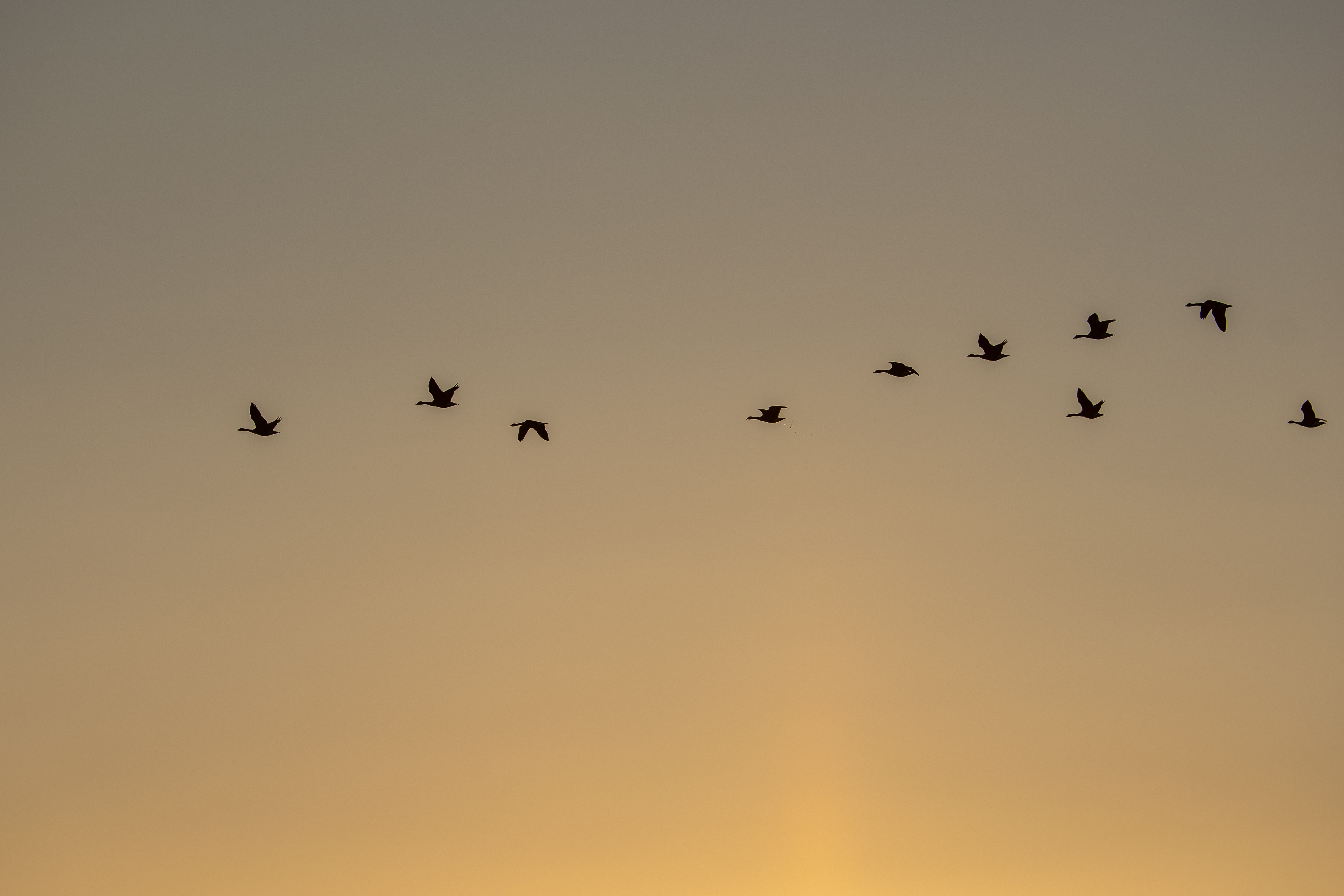 20251012 - Remich Morning Sun 2 - P1055834