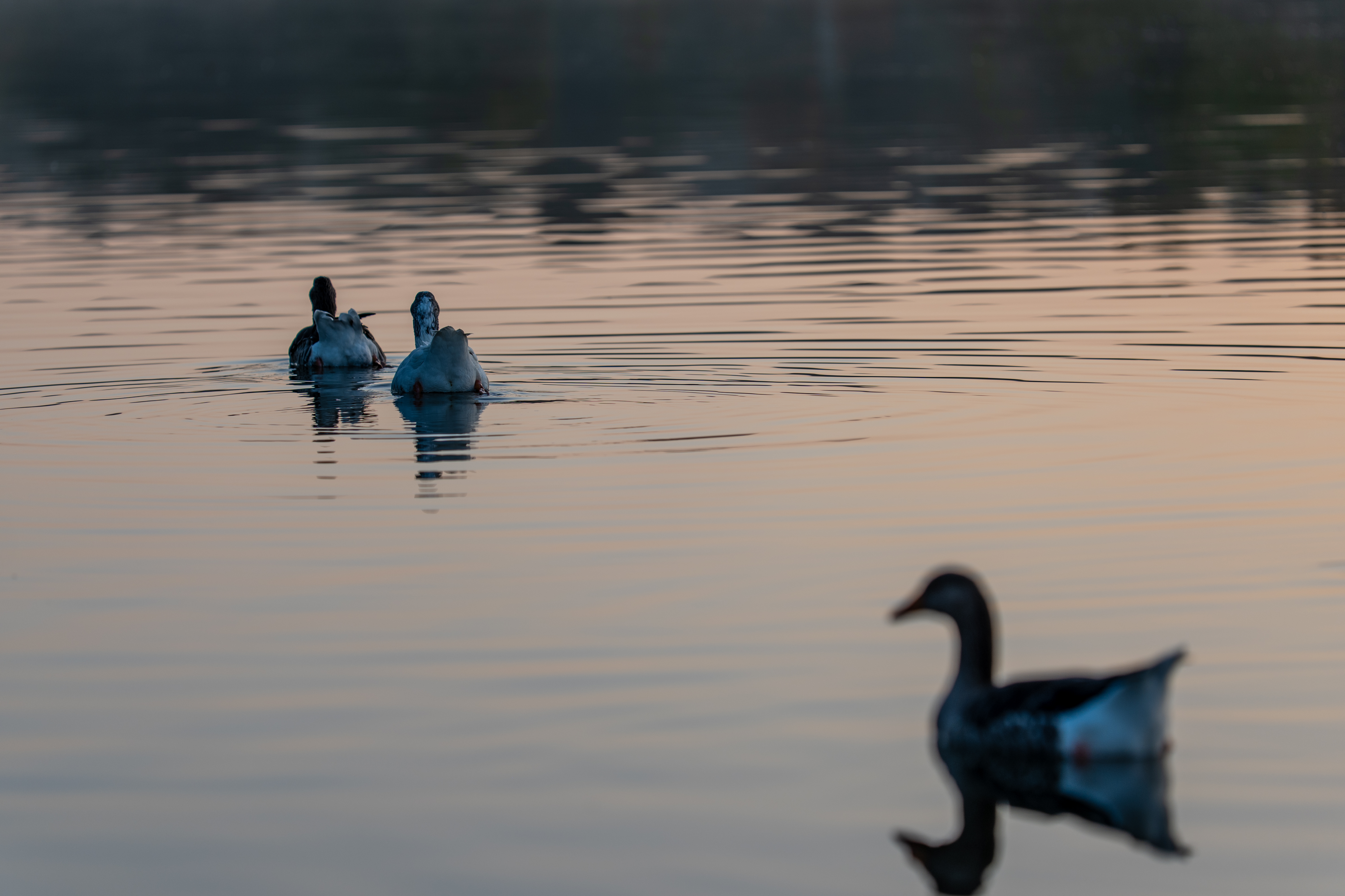 20251012 - Remich Morning Sun 2 - P1055818