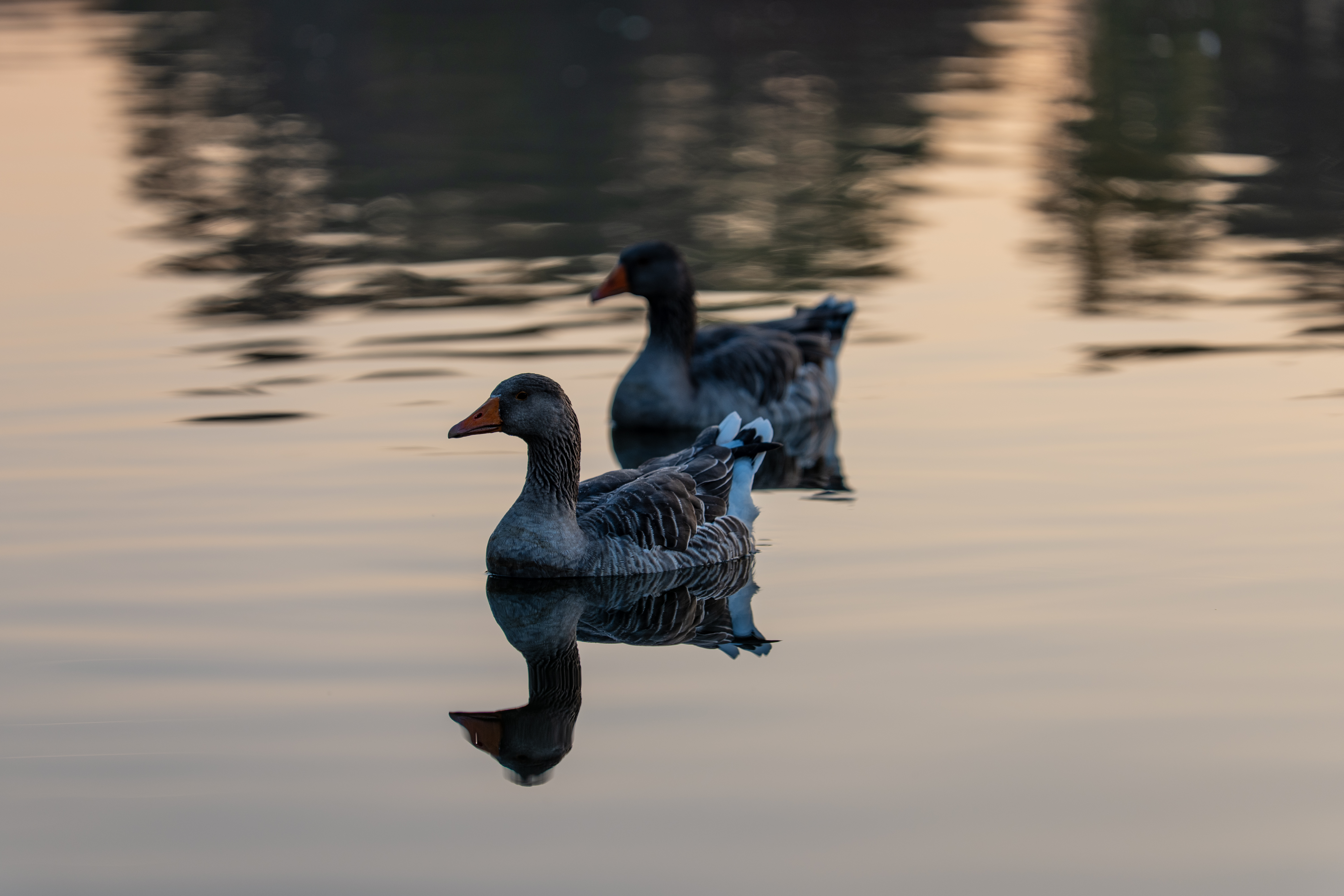20251012 - Remich Morning Sun 2 - P1055815