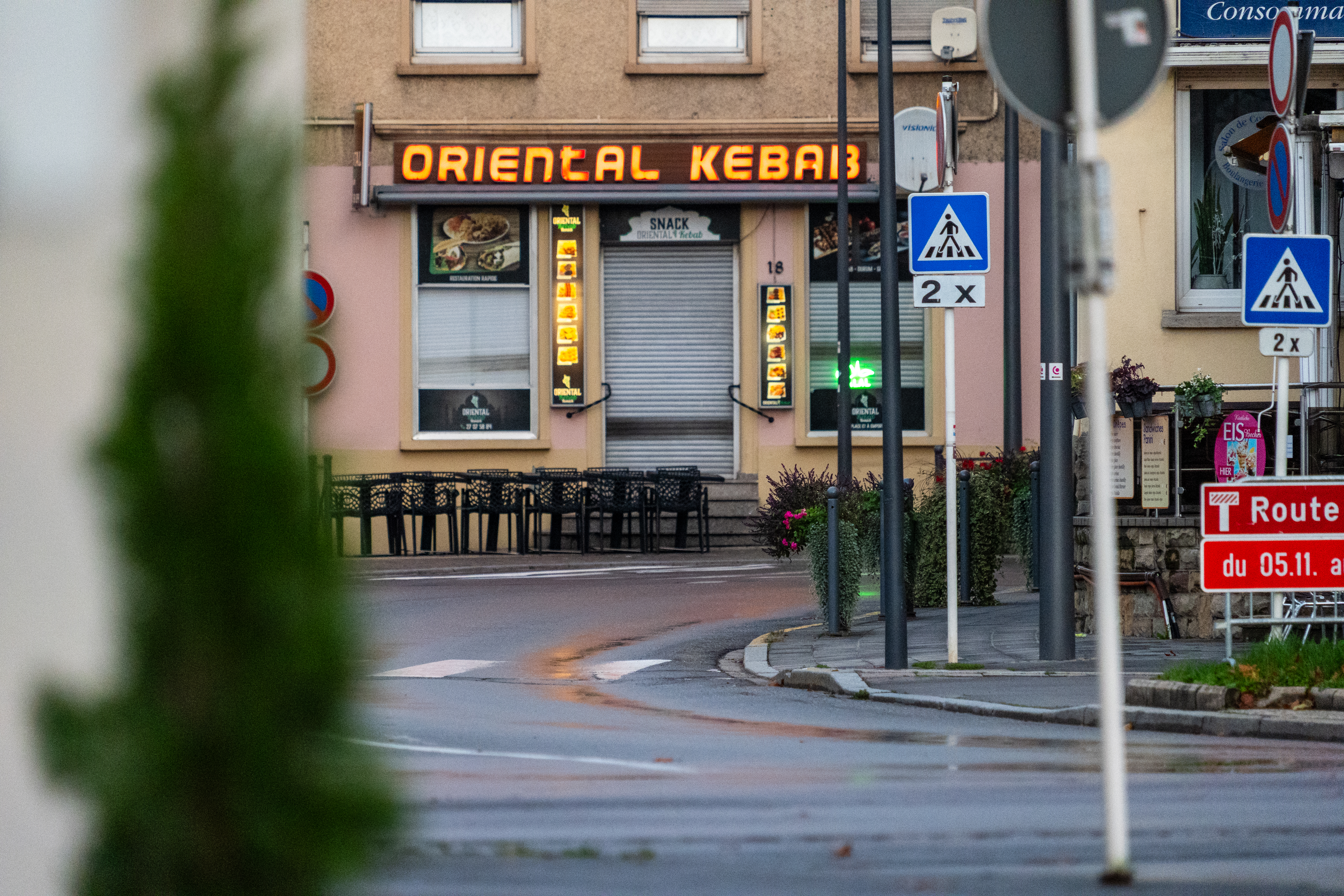 20251026 - Remich Morning Swan - P1010913