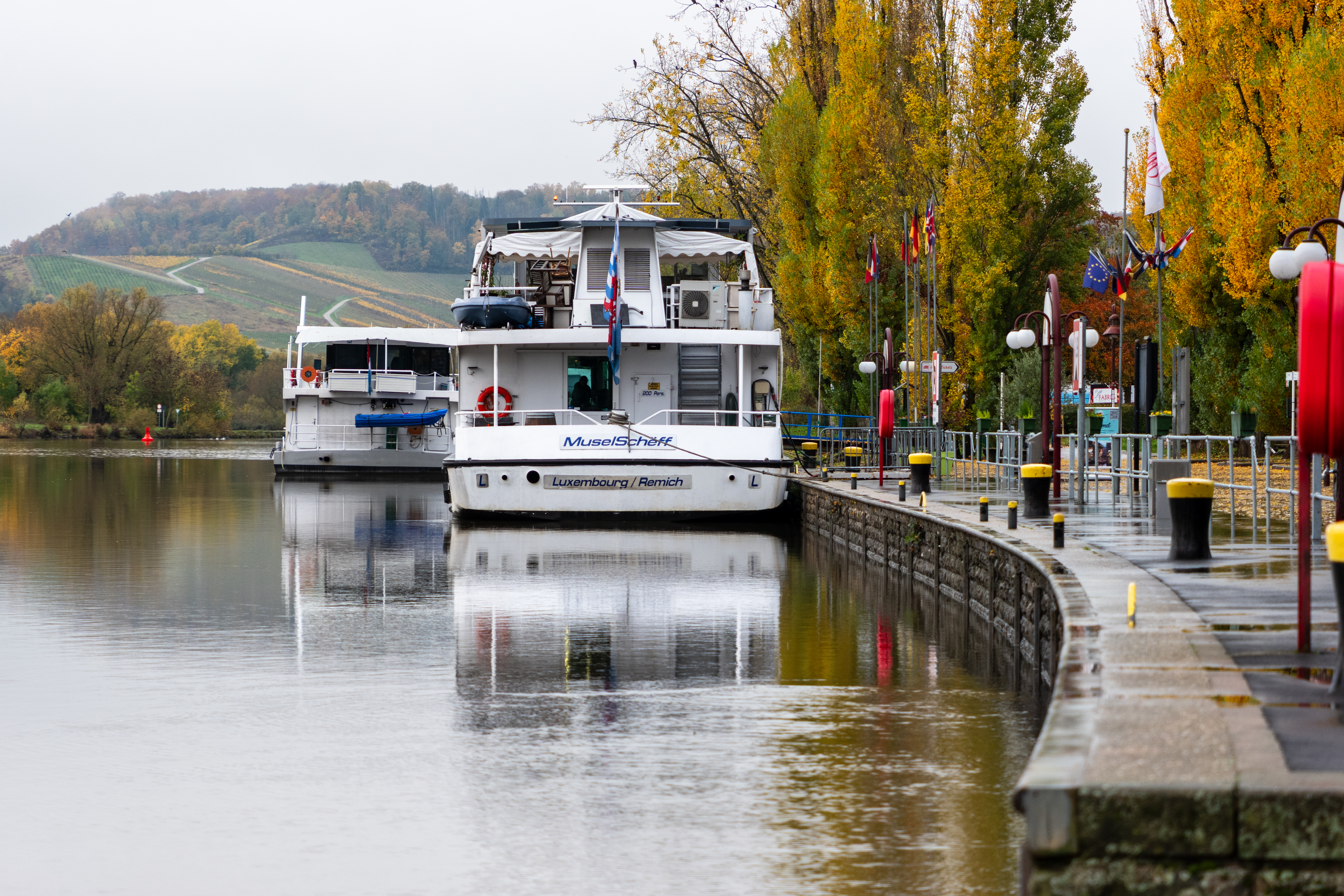 20251102 - Morning Birds - P1056271