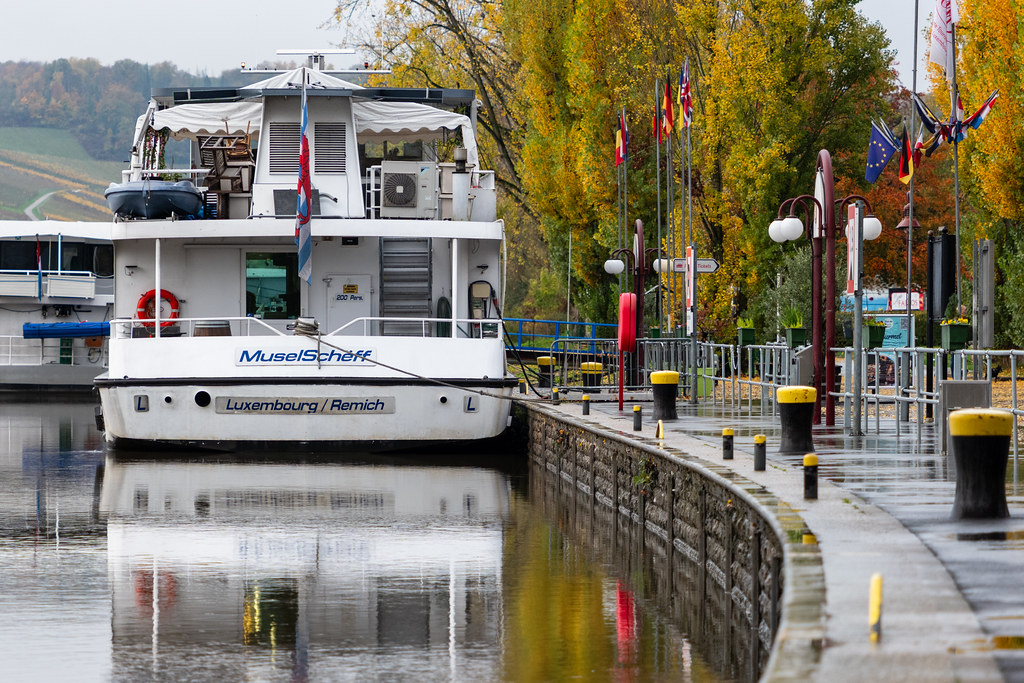 20251102 - Morning Birds - P1056254