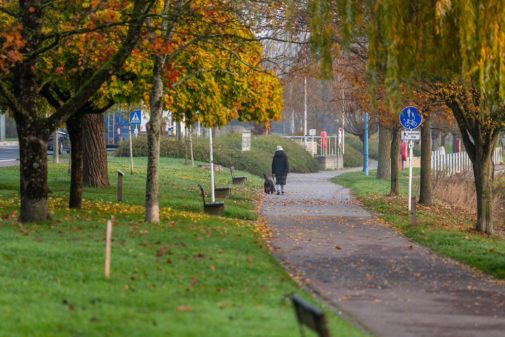 20251112 - Remich Foggy Sunrise - P1056774-HDR