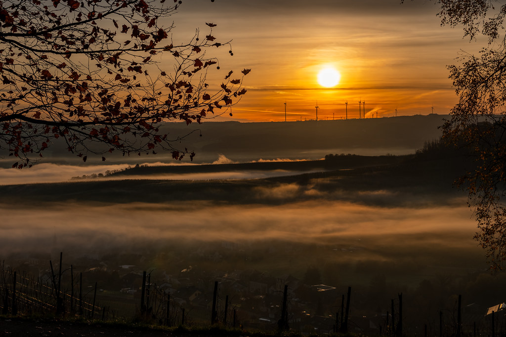 20251112 - Remich Foggy Sunrise - P1056694-HDR