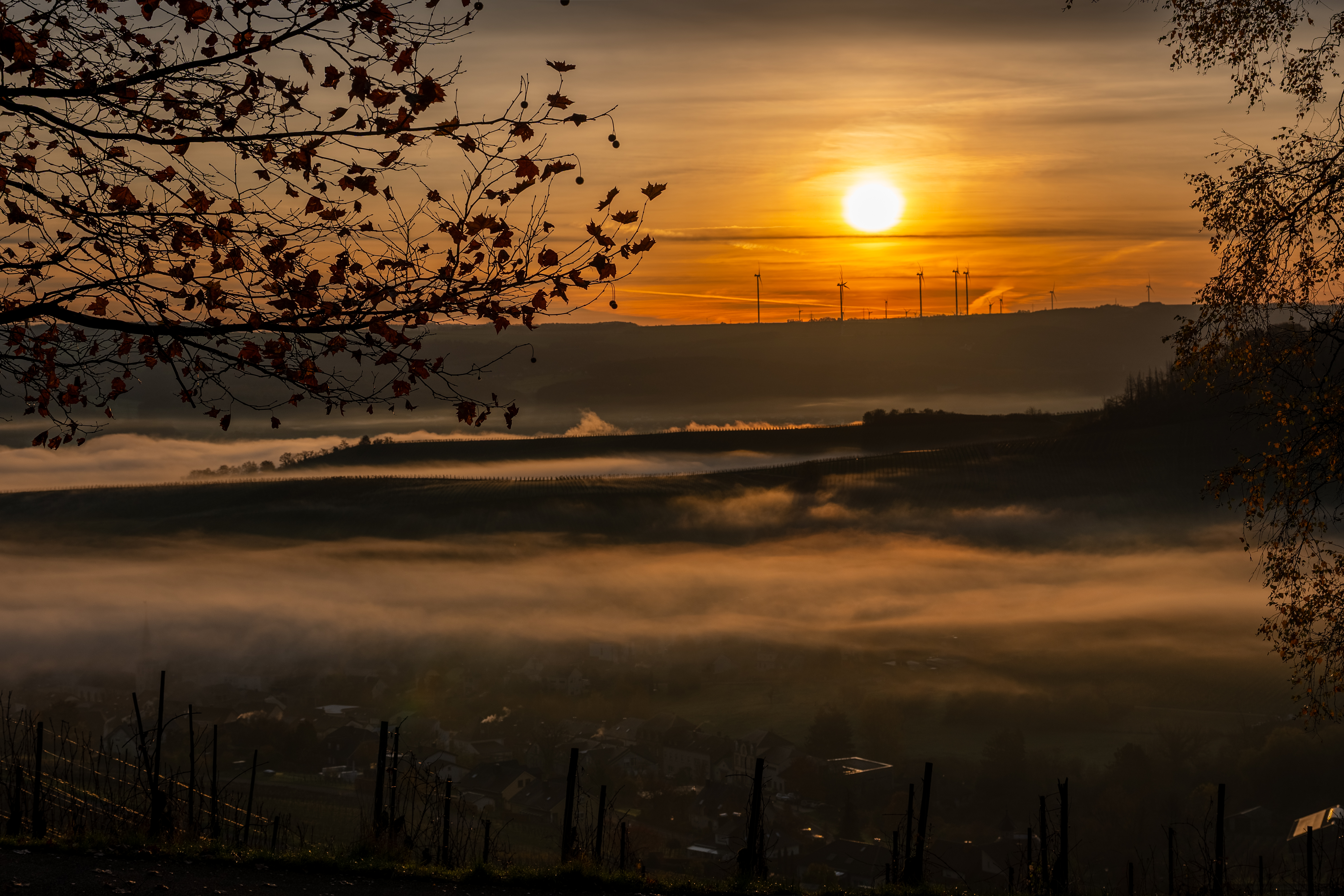 20251112 - Remich Foggy Sunrise - P1056694-HDR