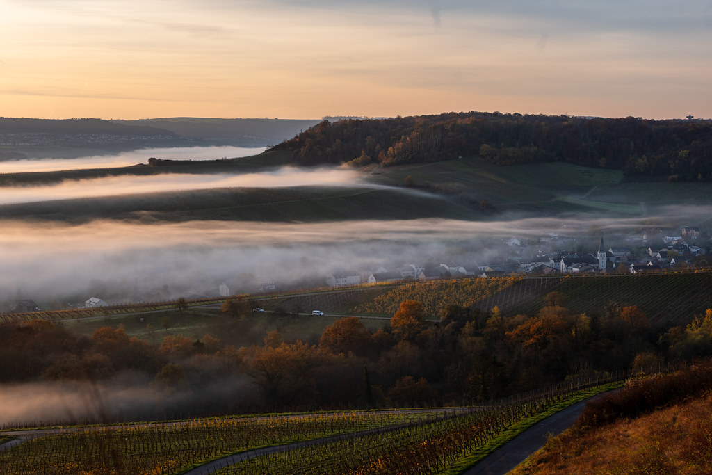 20251112 - Remich Foggy Sunrise - P1056669-HDR