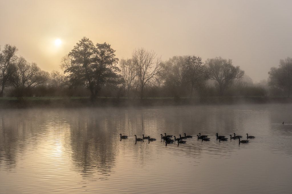 20251112 - Remich Foggy Sunrise - P1056788-HDR