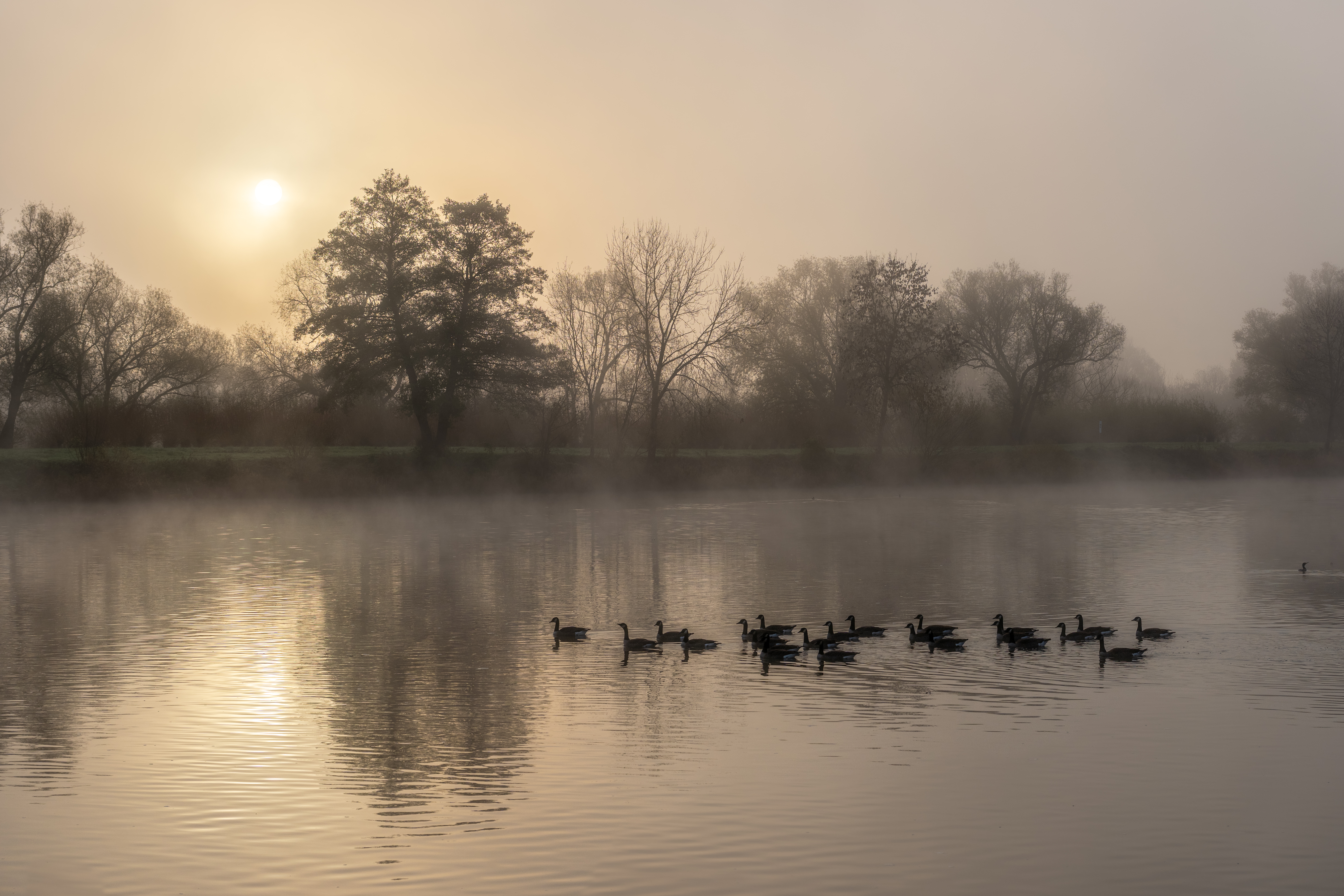 20251112 - Remich Foggy Sunrise - P1056788-HDR