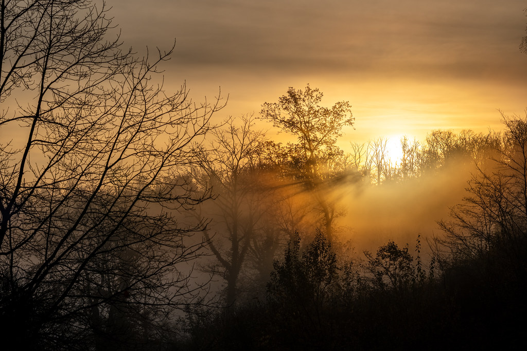 20251112 - Remich Foggy Sunrise - P1056758-HDR