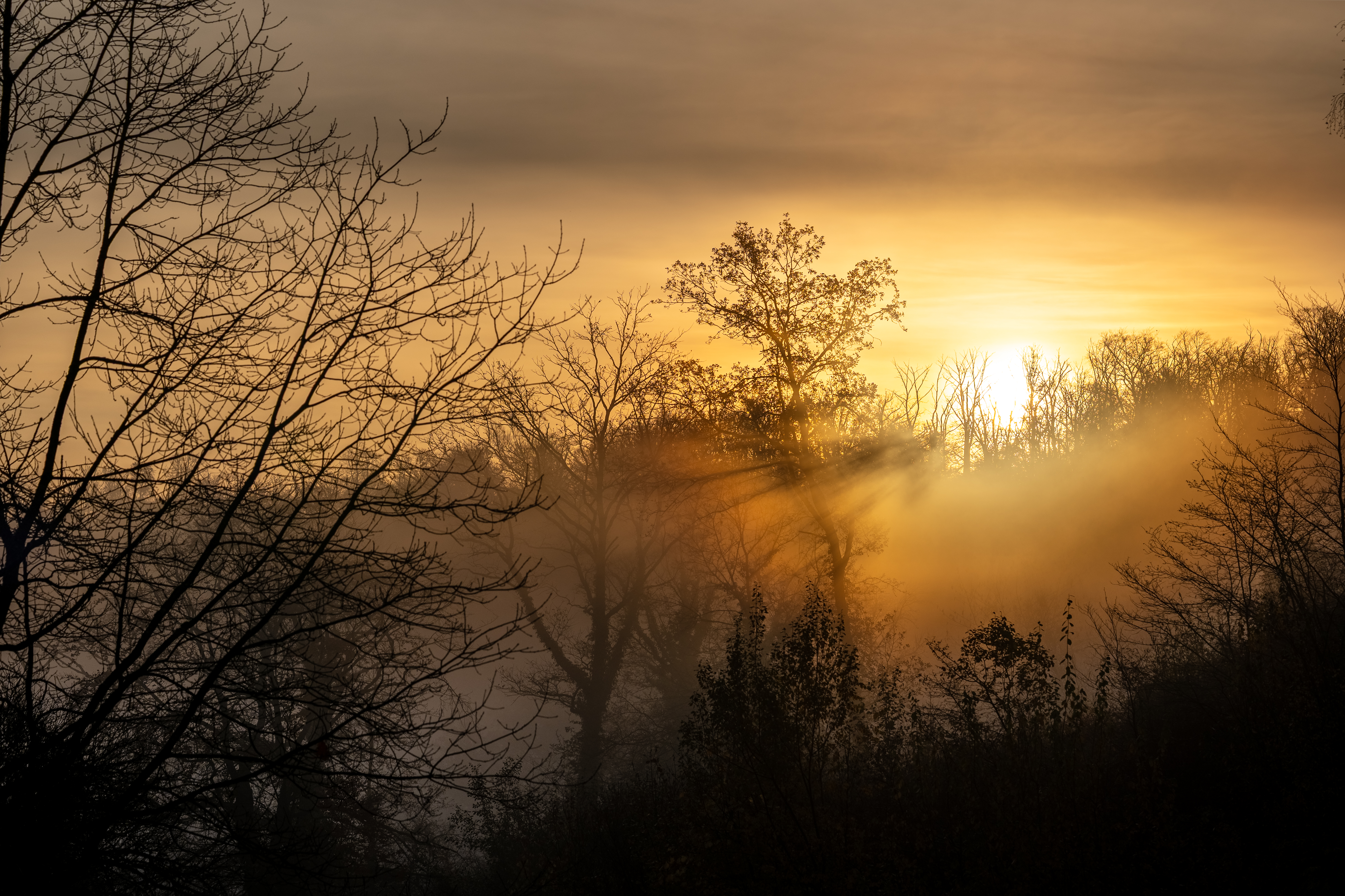20251112 - Remich Foggy Sunrise - P1056758-HDR