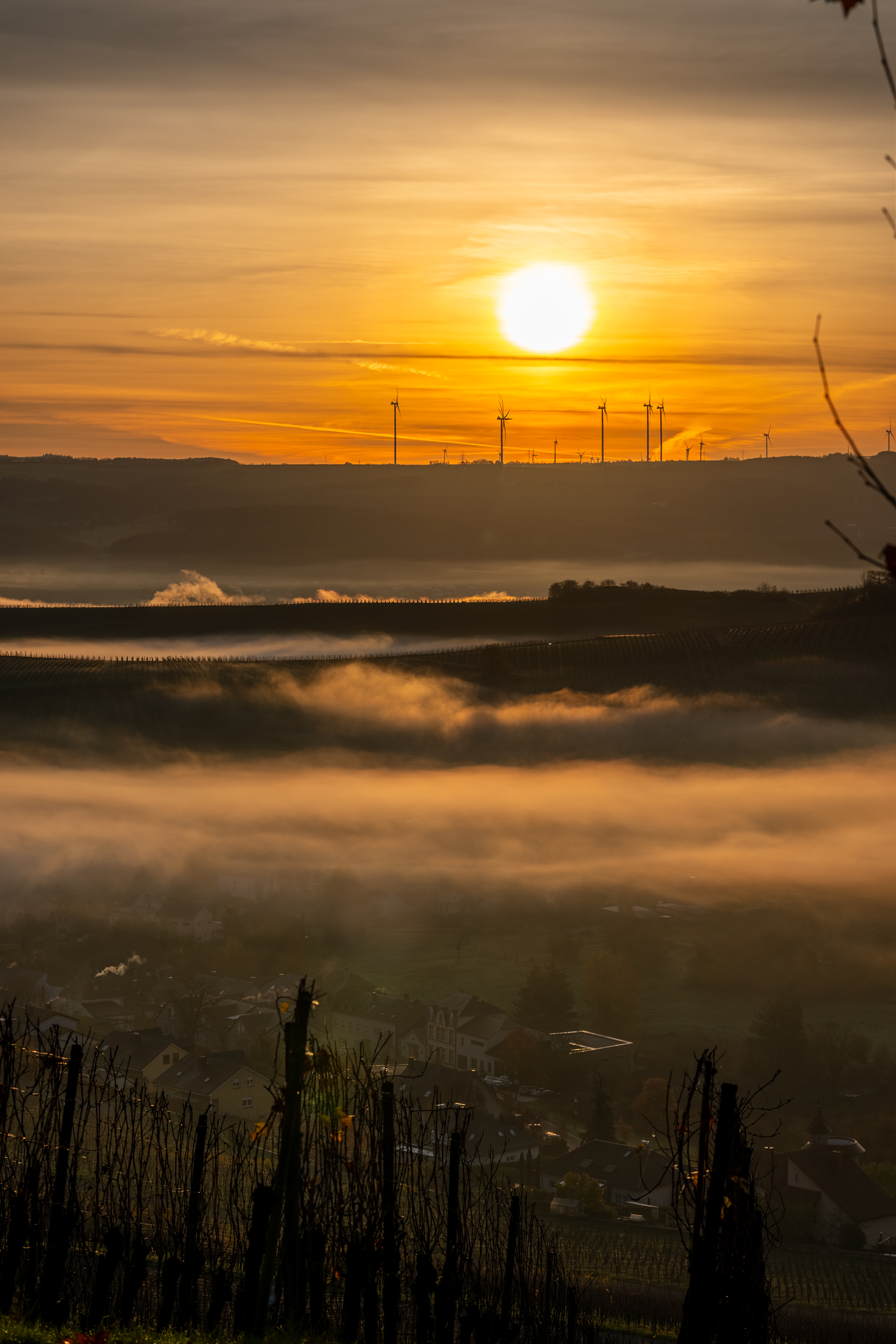 20251112 - Remich Foggy Sunrise - P1056704-HDR
