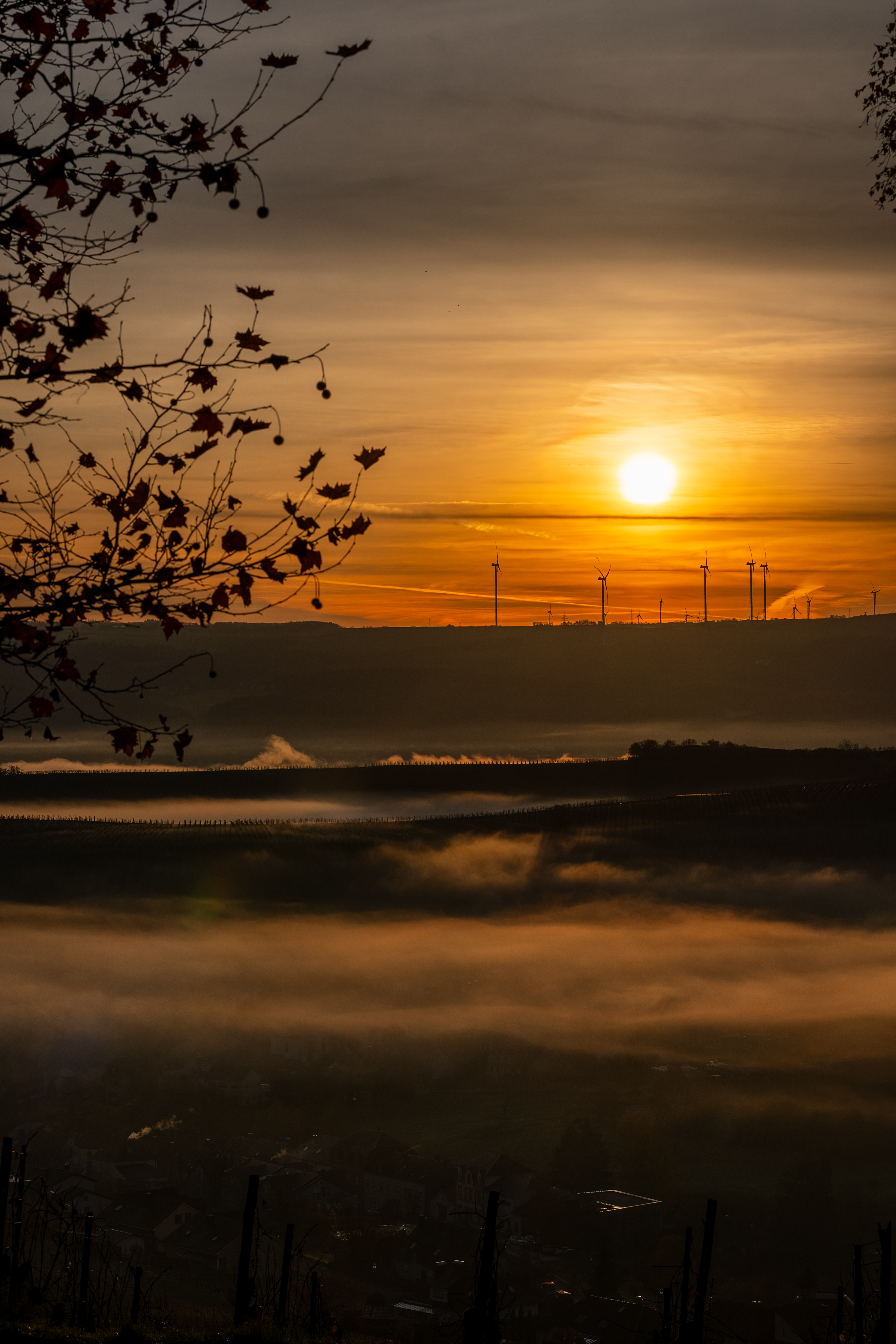 20251112 - Remich Foggy Sunrise - P1056699-HDR
