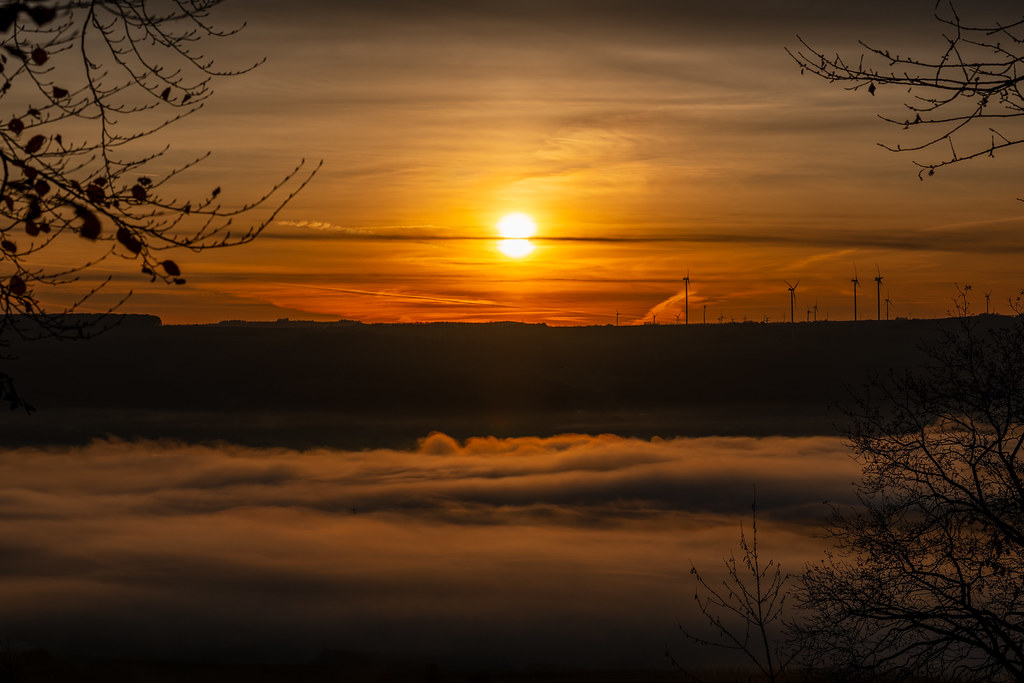 20251112 - Remich Foggy Sunrise - P1056679-HDR