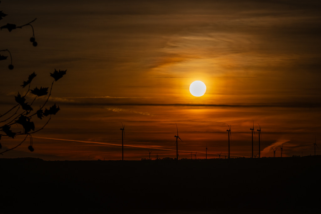 20251112 - Remich Foggy Sunrise - P1056689-HDR