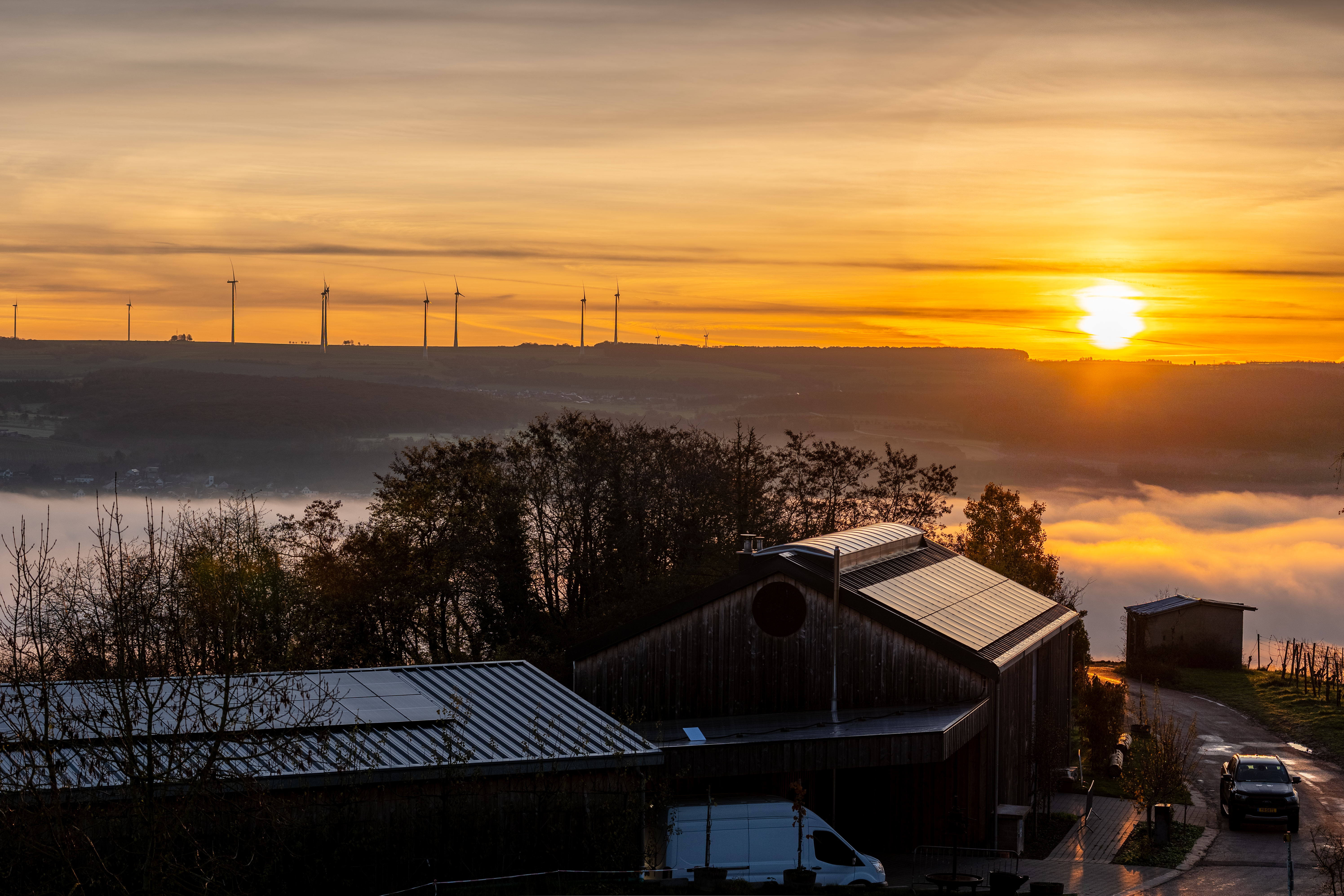 20251112 - Remich Foggy Sunrise - P1056619-HDR