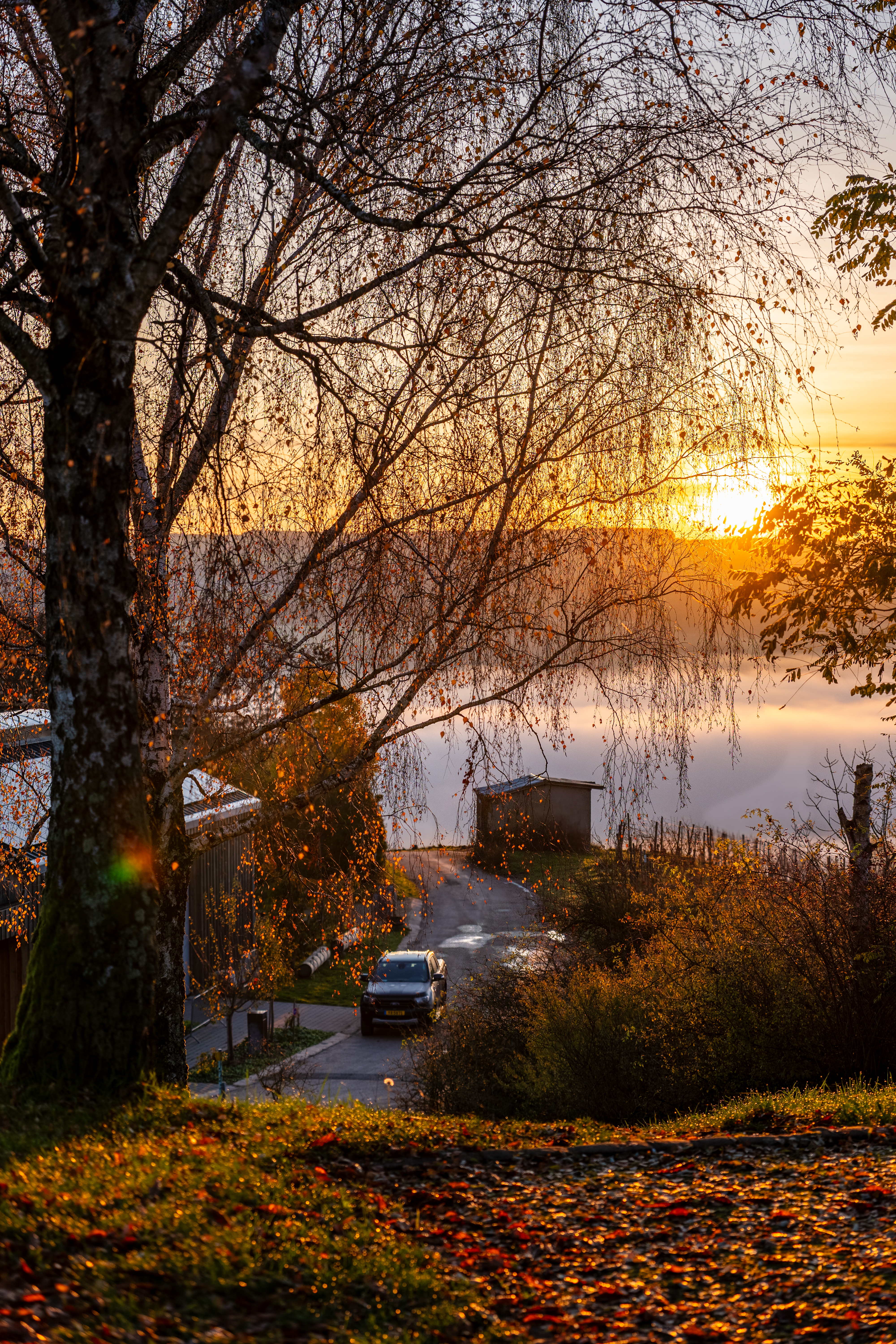 20251112 - Remich Foggy Sunrise - P1056607-HDR