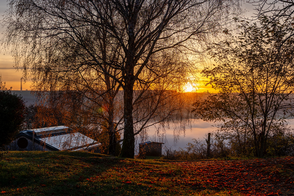 20251112 - Remich Foggy Sunrise - P1056597-HDR