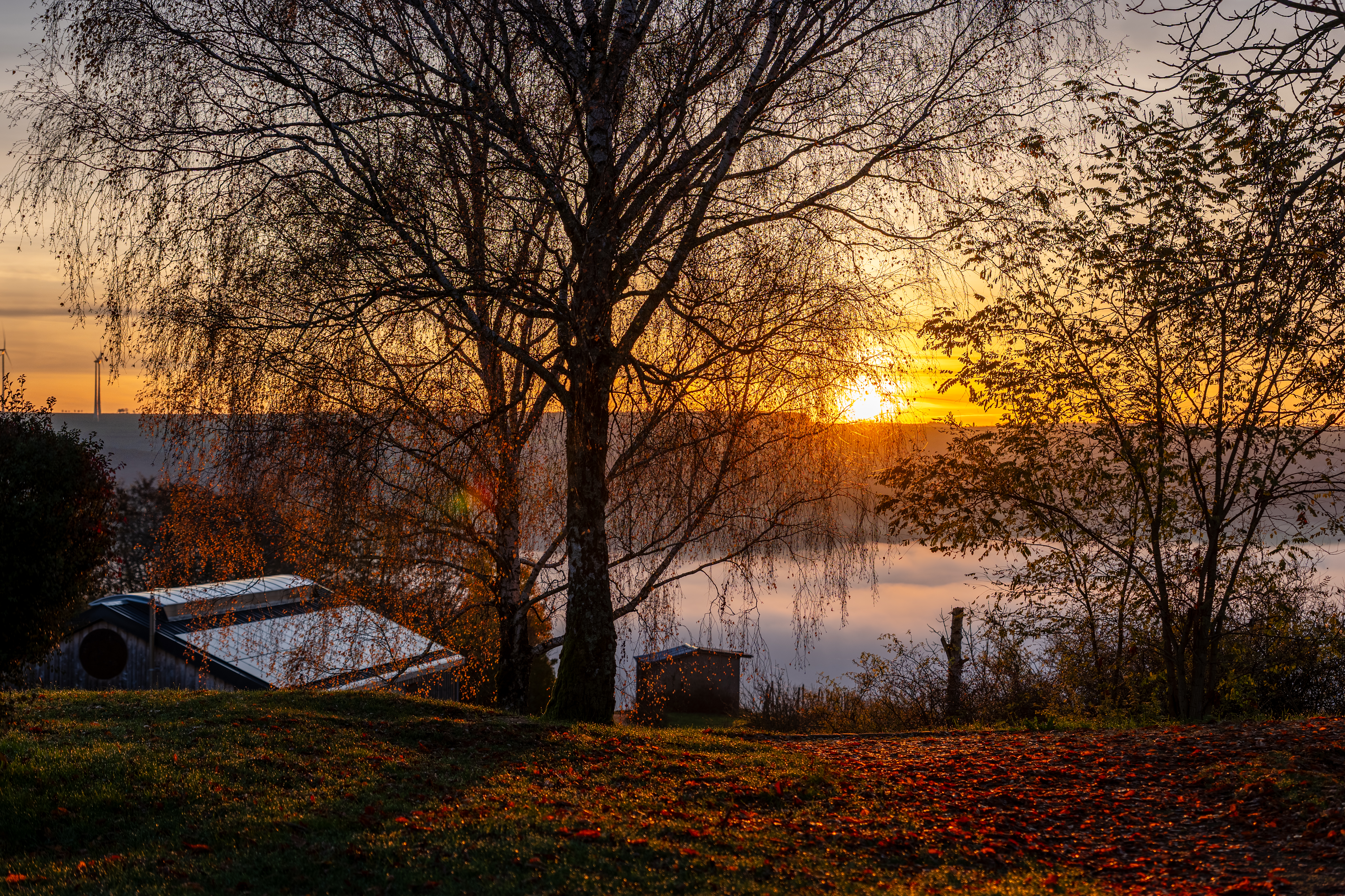 20251112 - Remich Foggy Sunrise - P1056597-HDR