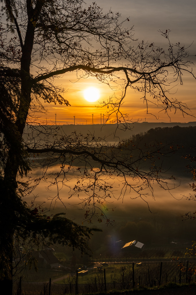 20251112 - Remich Foggy Sunrise - P1056734-HDR