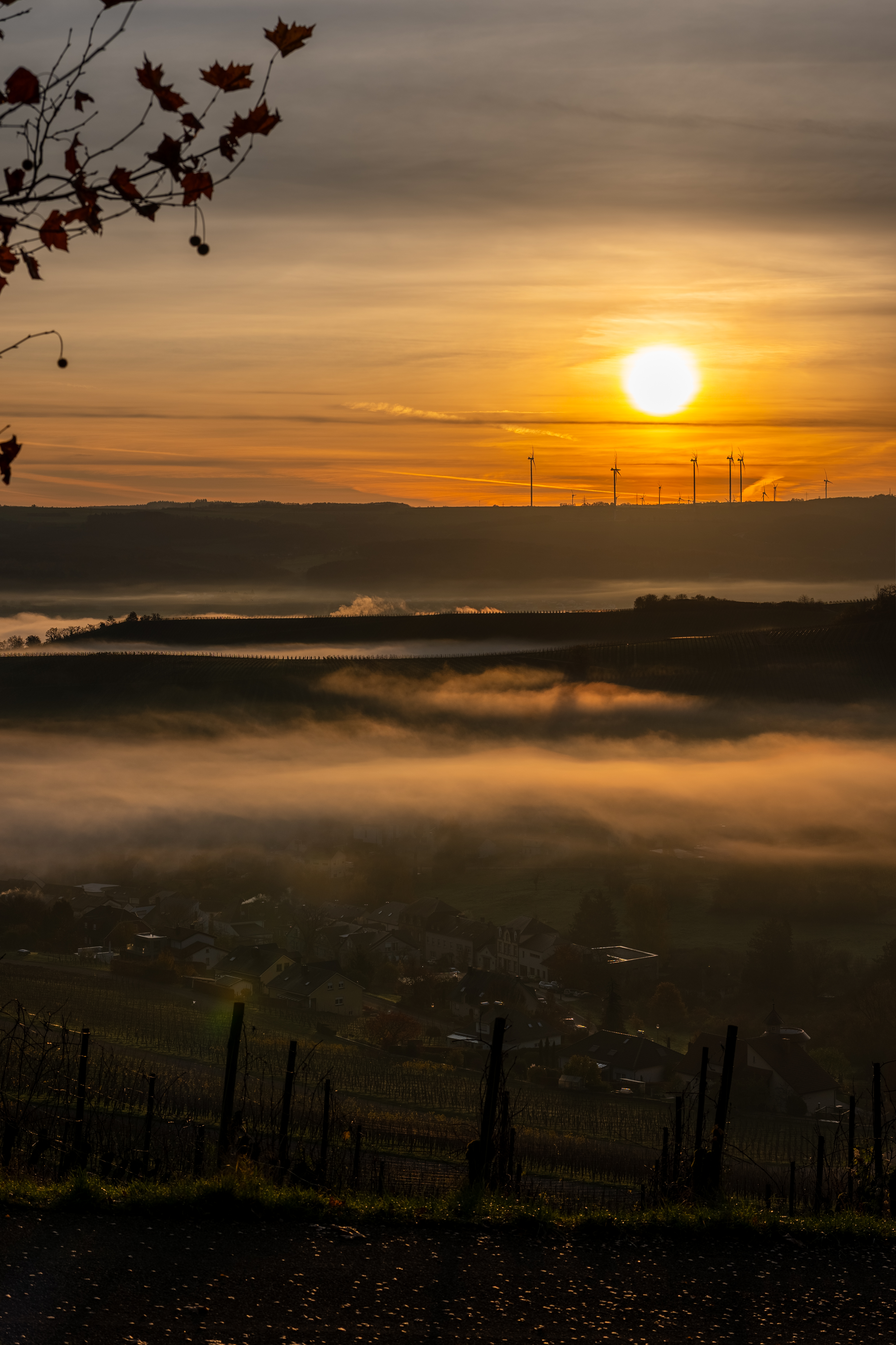 20251112 - Remich Foggy Sunrise - P1056719-HDR