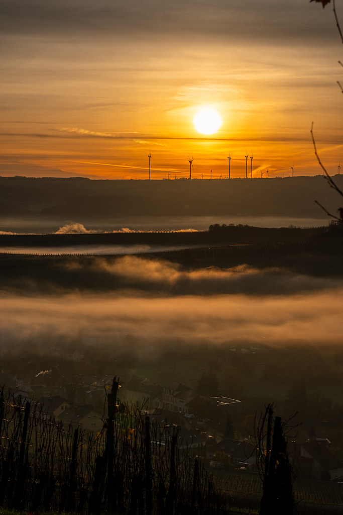 20251112 - Remich Foggy Sunrise - P1056709-HDR