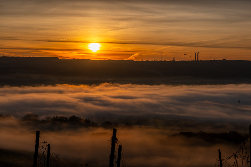 20251112 - Remich Foggy Sunrise - P1056644-HDR