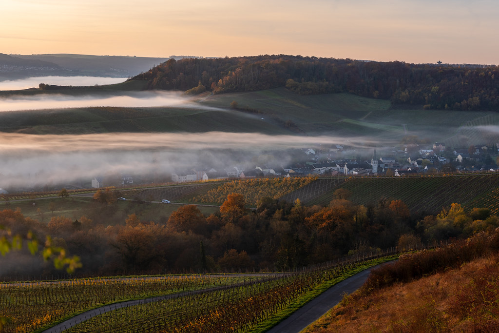 20251112 - Remich Foggy Sunrise - P1056654-HDR
