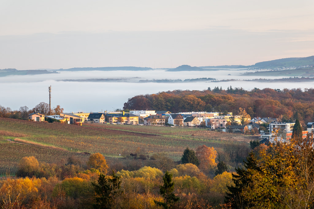 20251112 - Remich Foggy Sunrise - P1056634-HDR