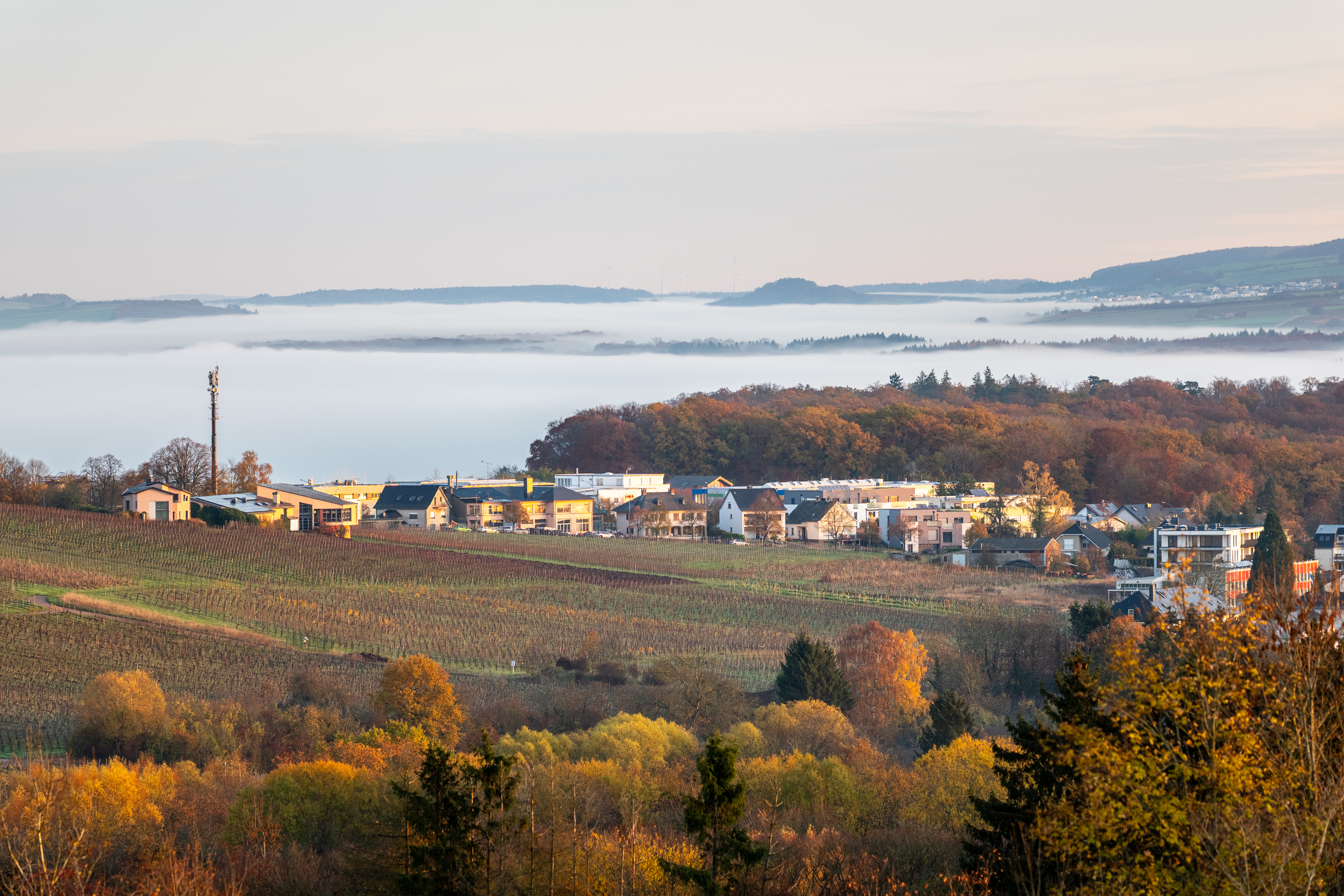 20251112 - Remich Foggy Sunrise - P1056634-HDR