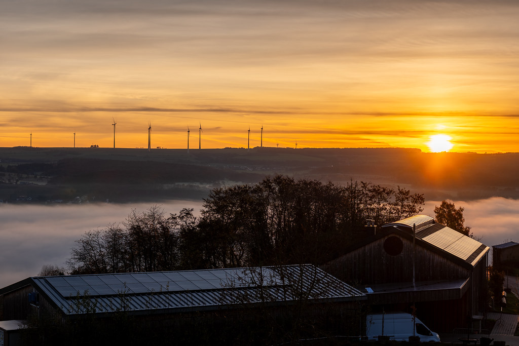 20251112 - Remich Foggy Sunrise - P1056596-HDR