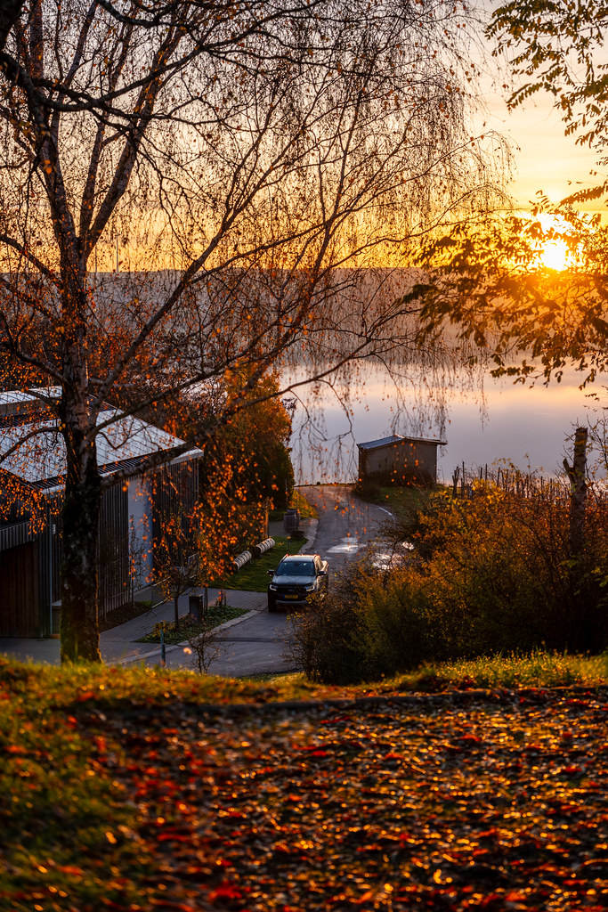 20251112 - Remich Foggy Sunrise - P1056602-HDR