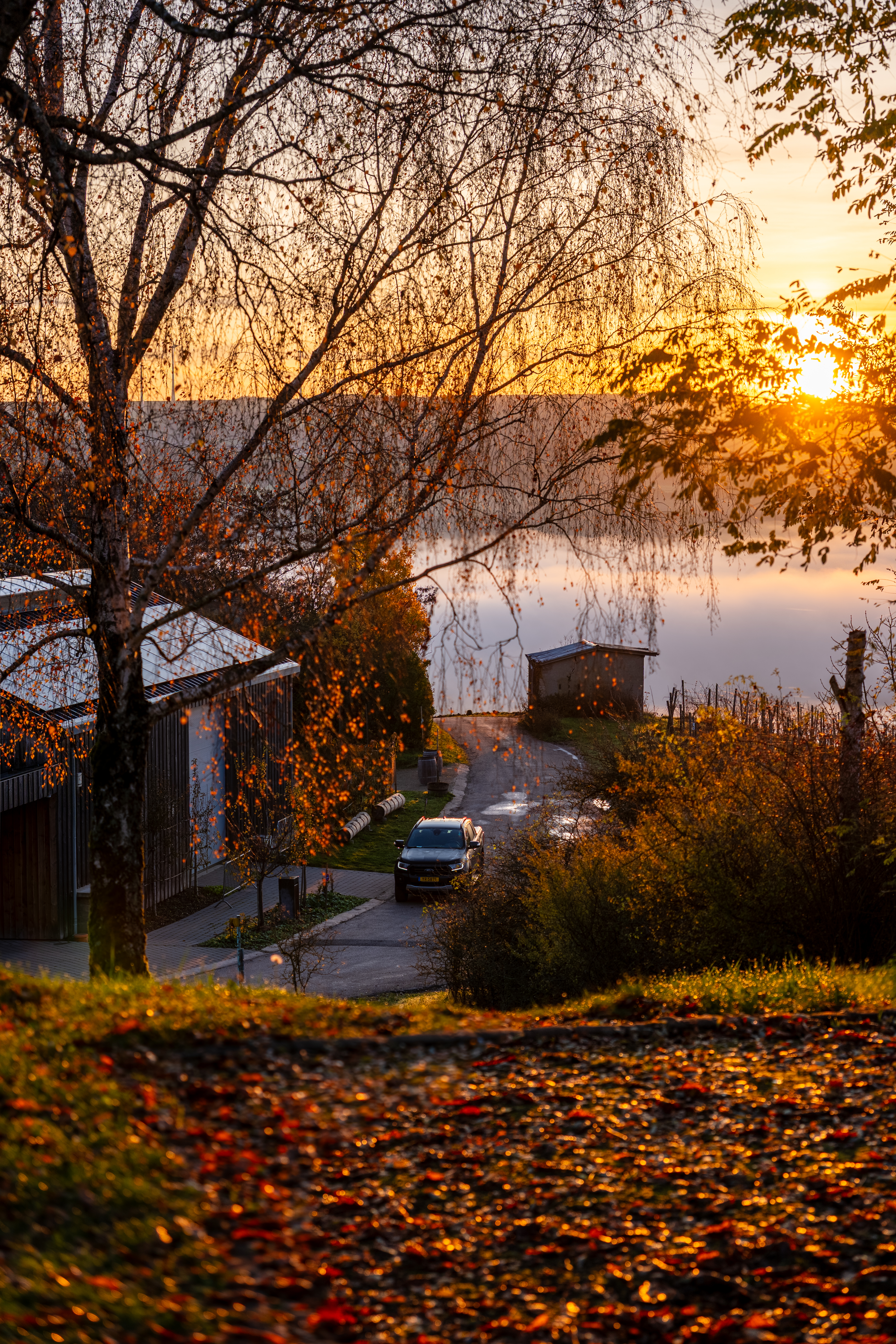 20251112 - Remich Foggy Sunrise - P1056602-HDR
