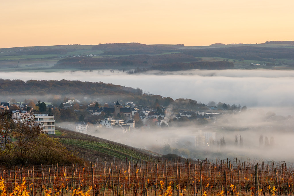 20251112 - Remich Foggy Sunrise - P1056567-HDR