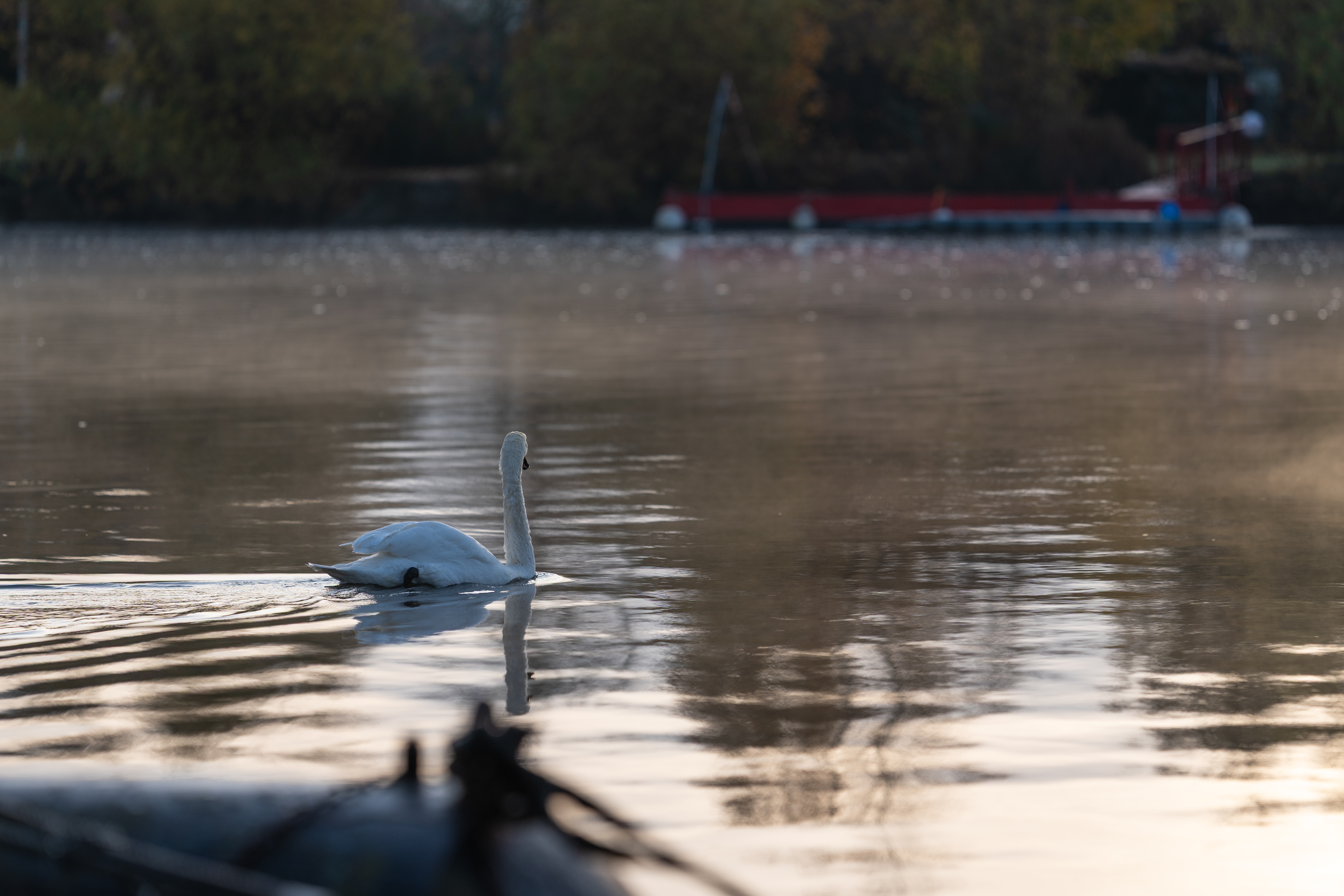 20251112 - Remich Foggy Sunrise - P1056847