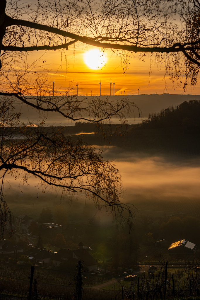 20251112 - Remich Foggy Sunrise - P1056729-HDR