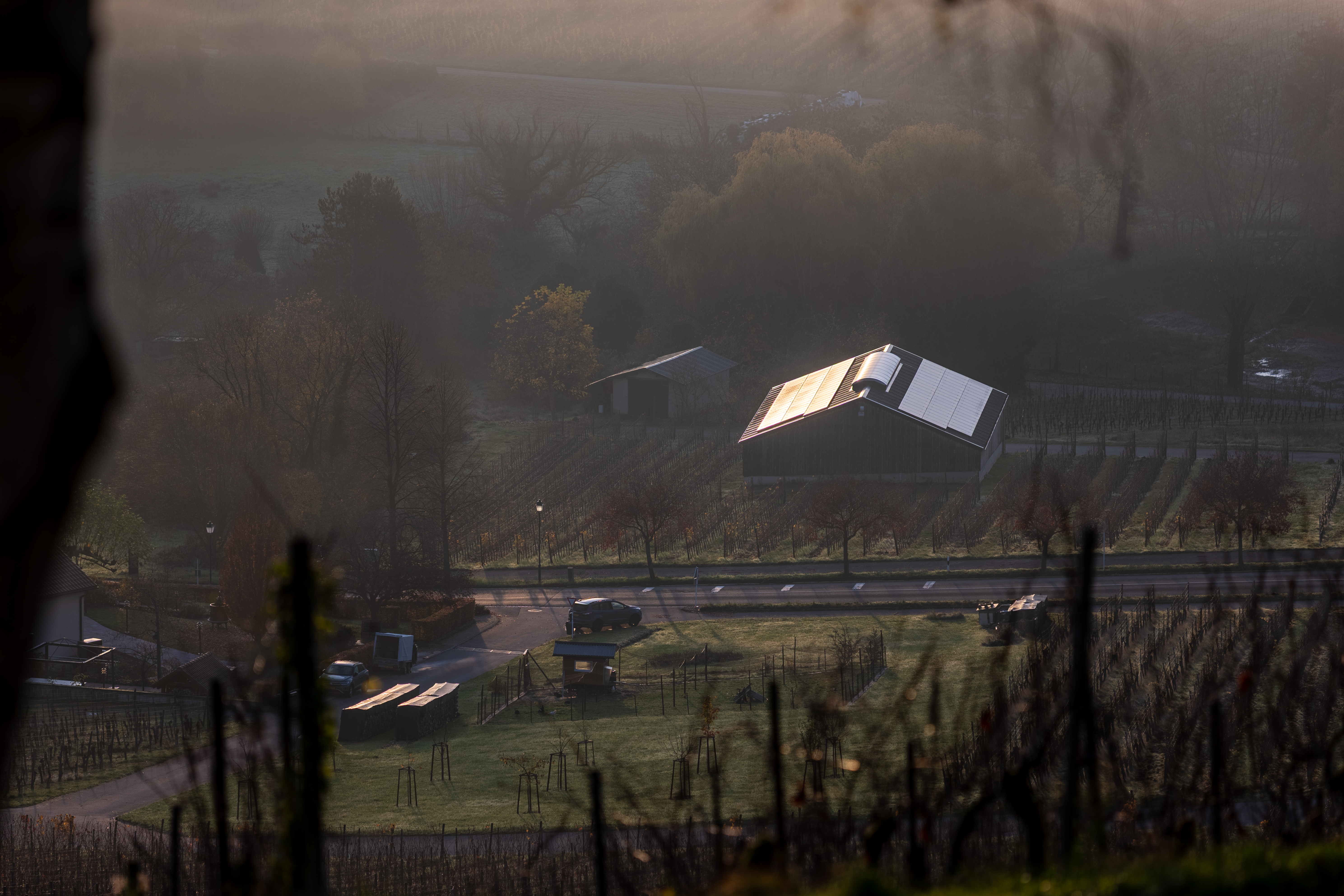 20251112 - Remich Foggy Sunrise - P1056724-HDR