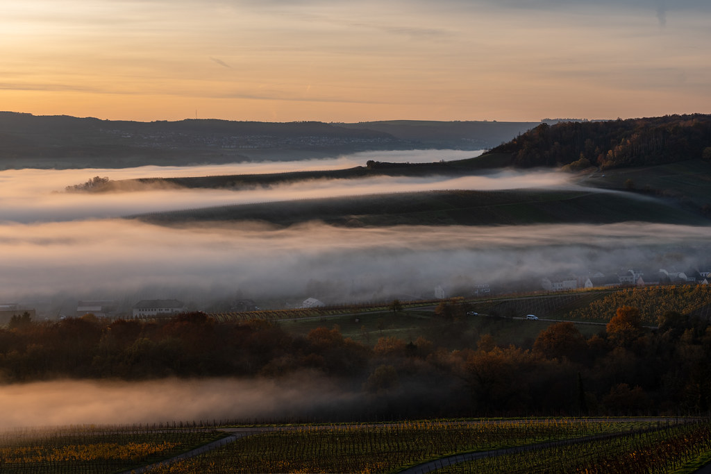 20251112 - Remich Foggy Sunrise - P1056664-HDR