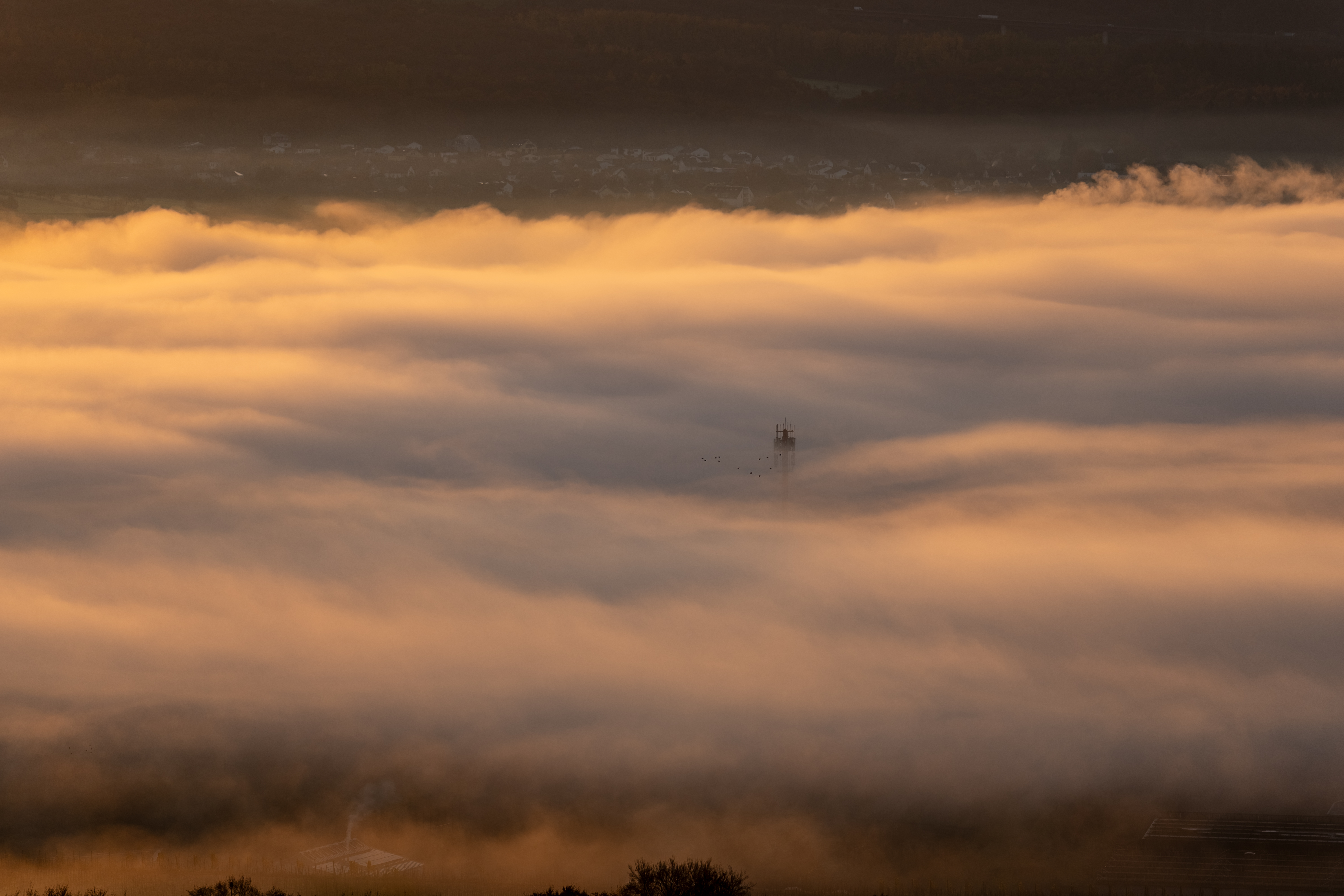 20251112 - Remich Foggy Sunrise - P1056659-HDR