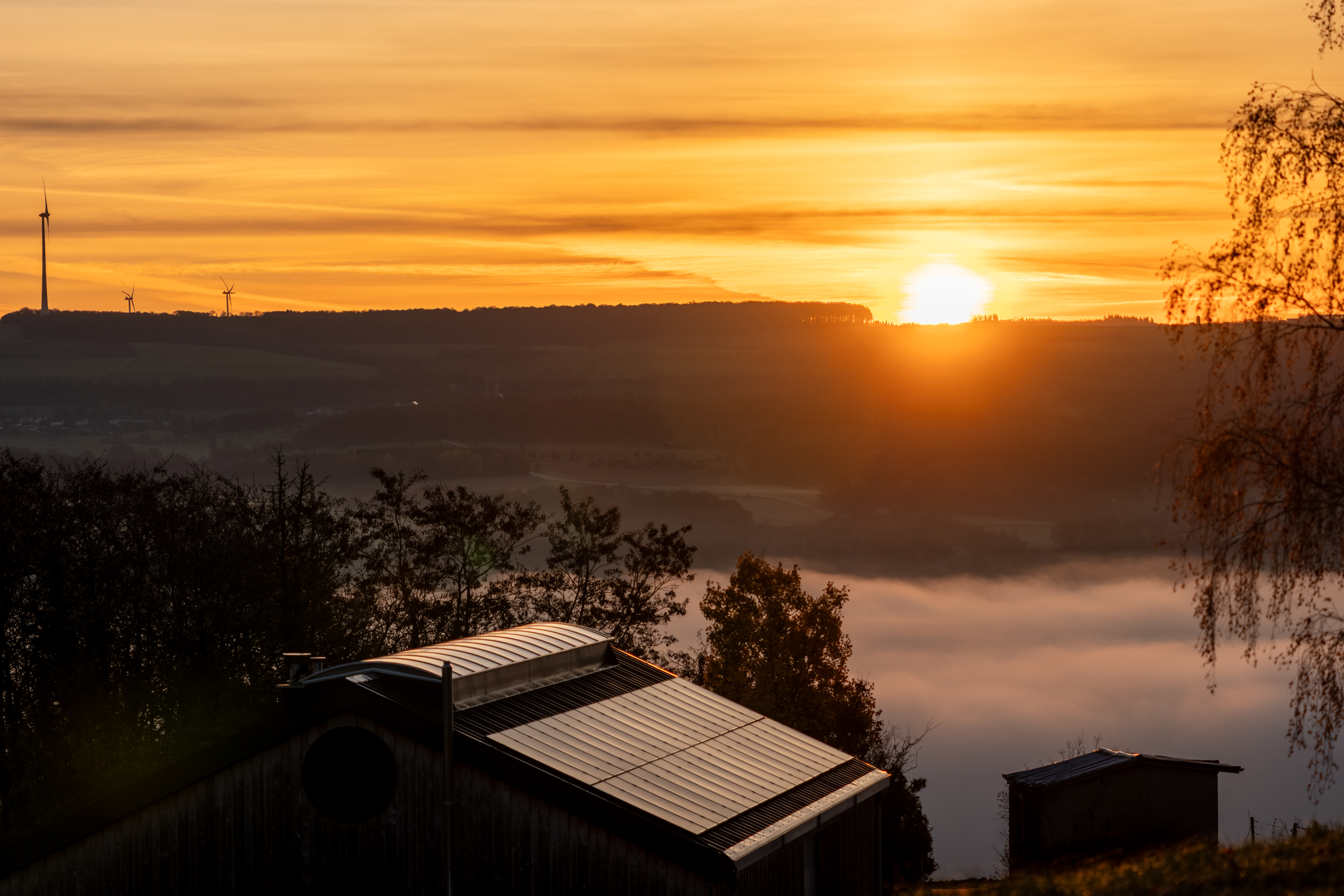 20251112 - Remich Foggy Sunrise - P1056572-HDR