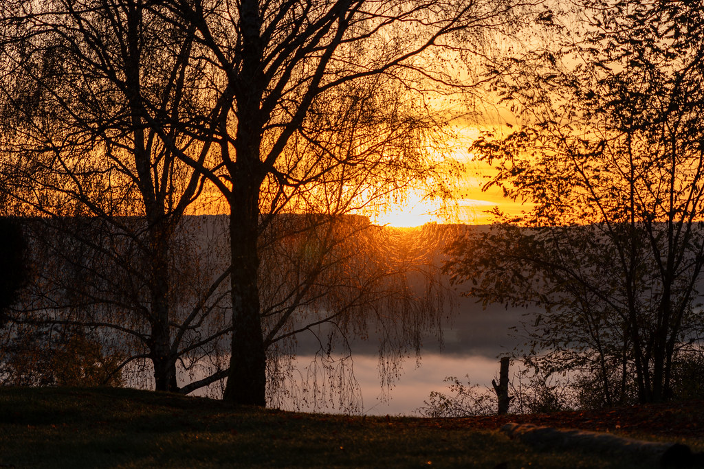 20251112 - Remich Foggy Sunrise - P1056559