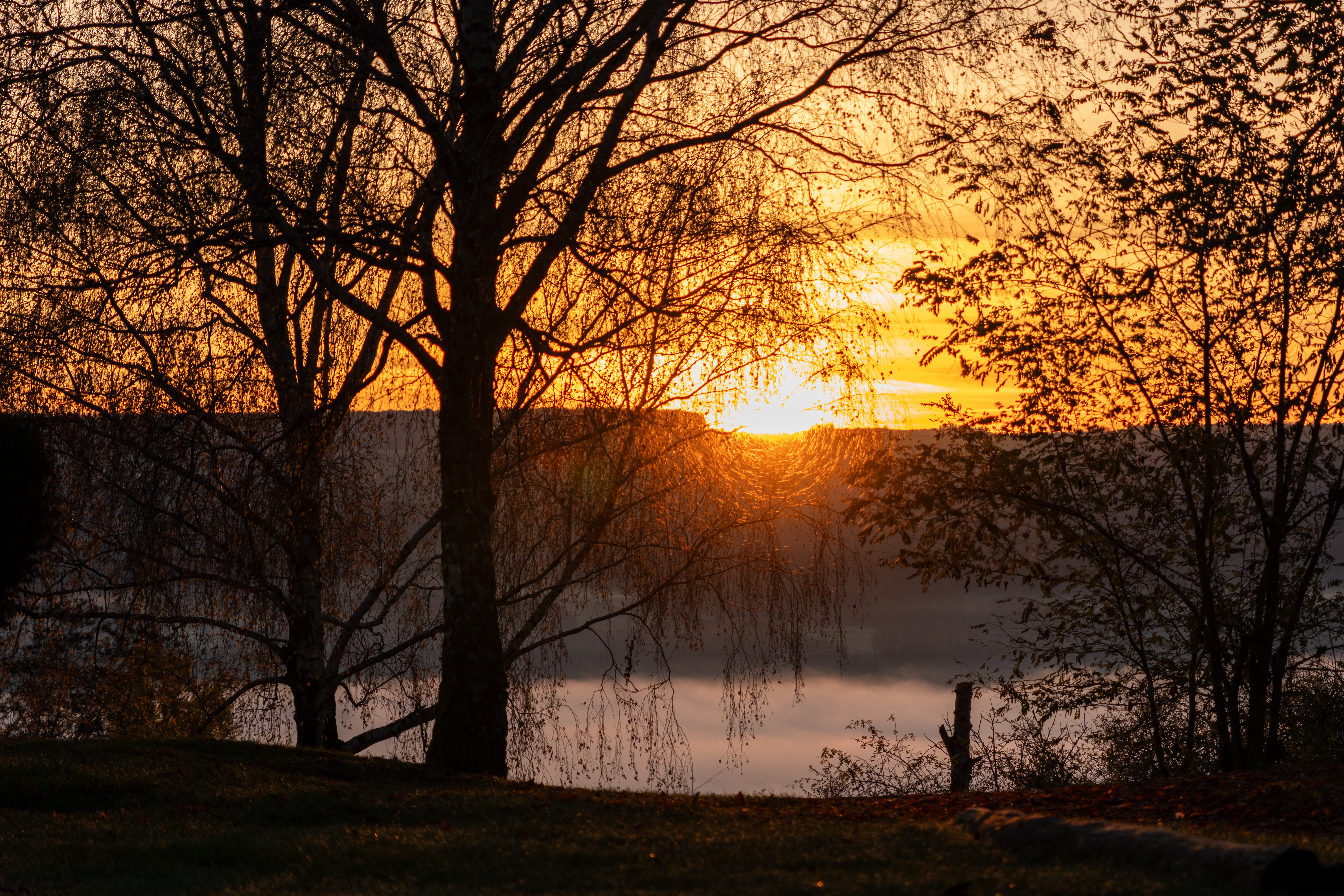 20251112 - Remich Foggy Sunrise - P1056559